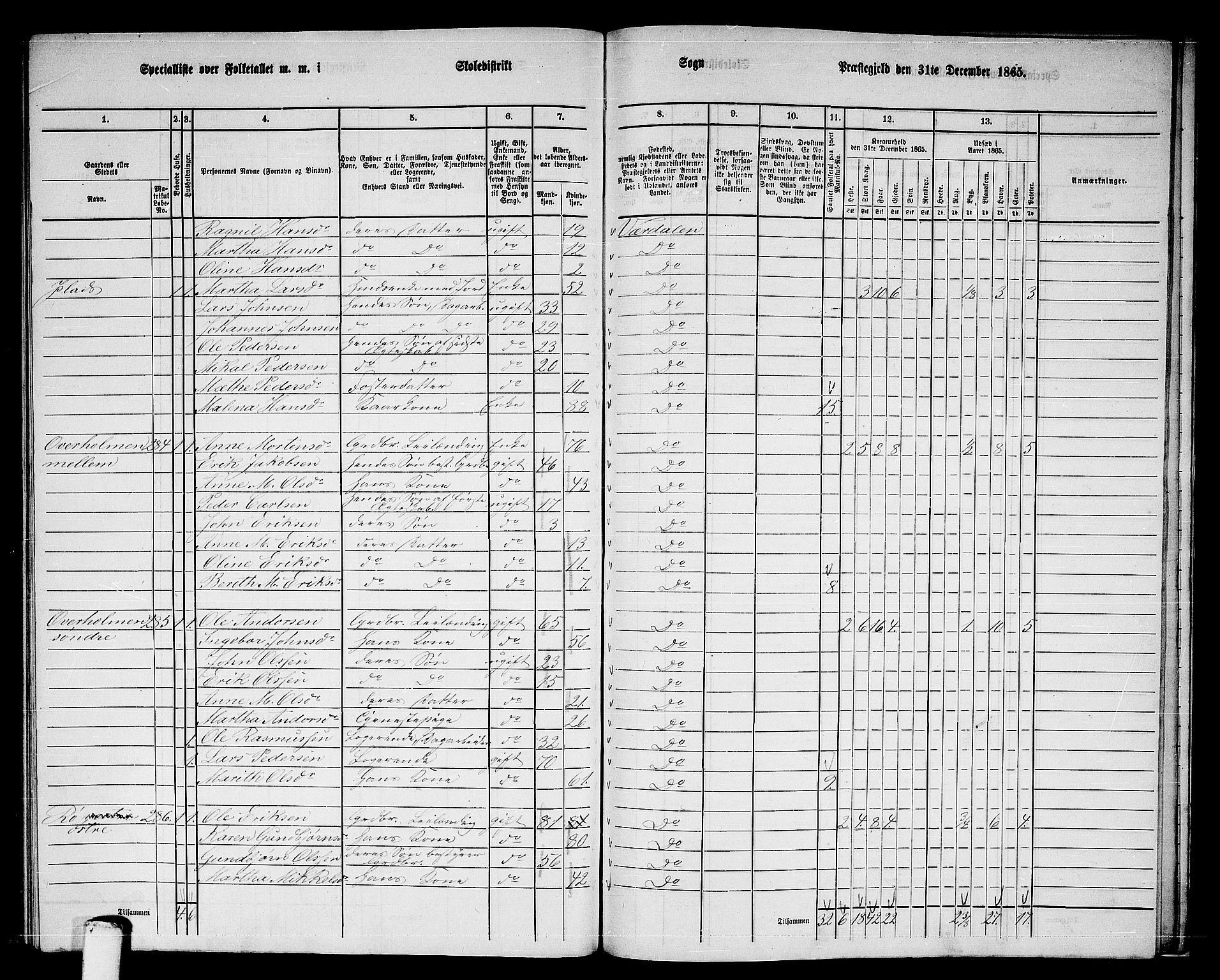 RA, Folketelling 1865 for 1721P Verdal prestegjeld, 1865, s. 253