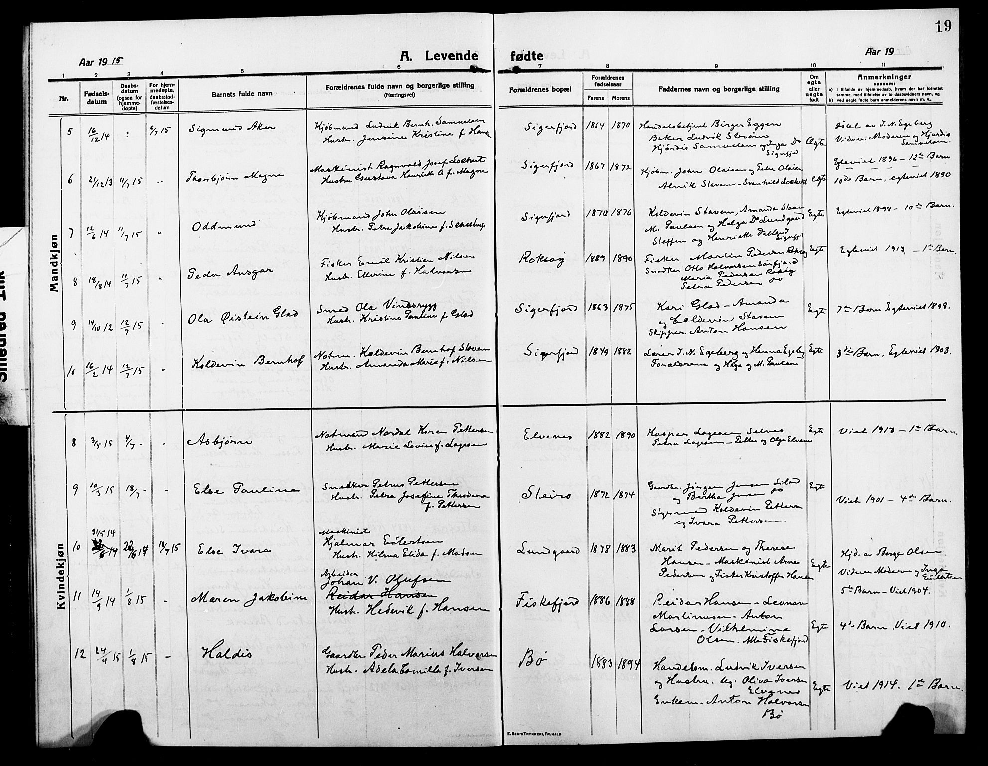 Ministerialprotokoller, klokkerbøker og fødselsregistre - Nordland, AV/SAT-A-1459/895/L1383: Klokkerbok nr. 895C05, 1913-1922, s. 19