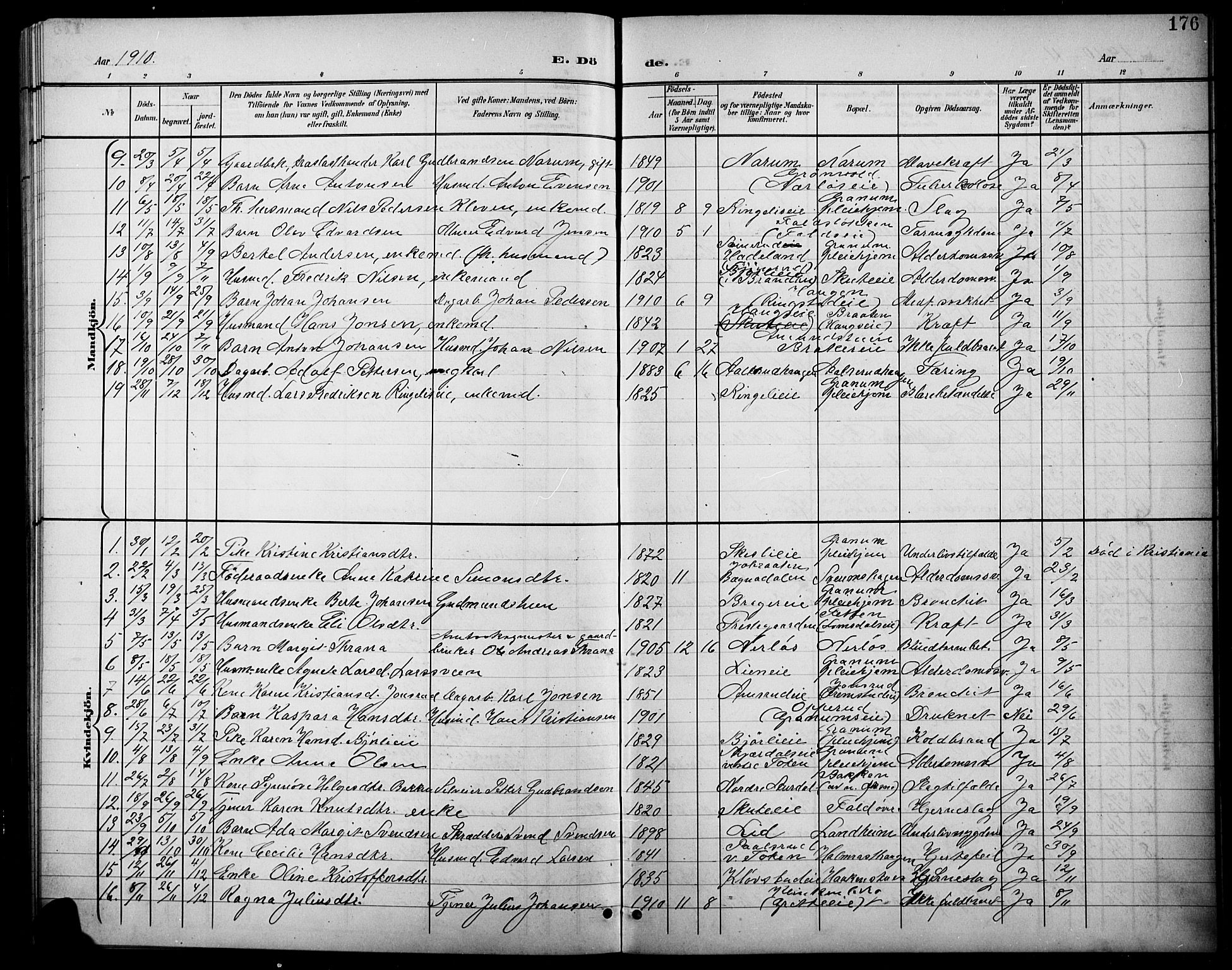 Søndre Land prestekontor, AV/SAH-PREST-122/L/L0004: Klokkerbok nr. 4, 1901-1915, s. 176