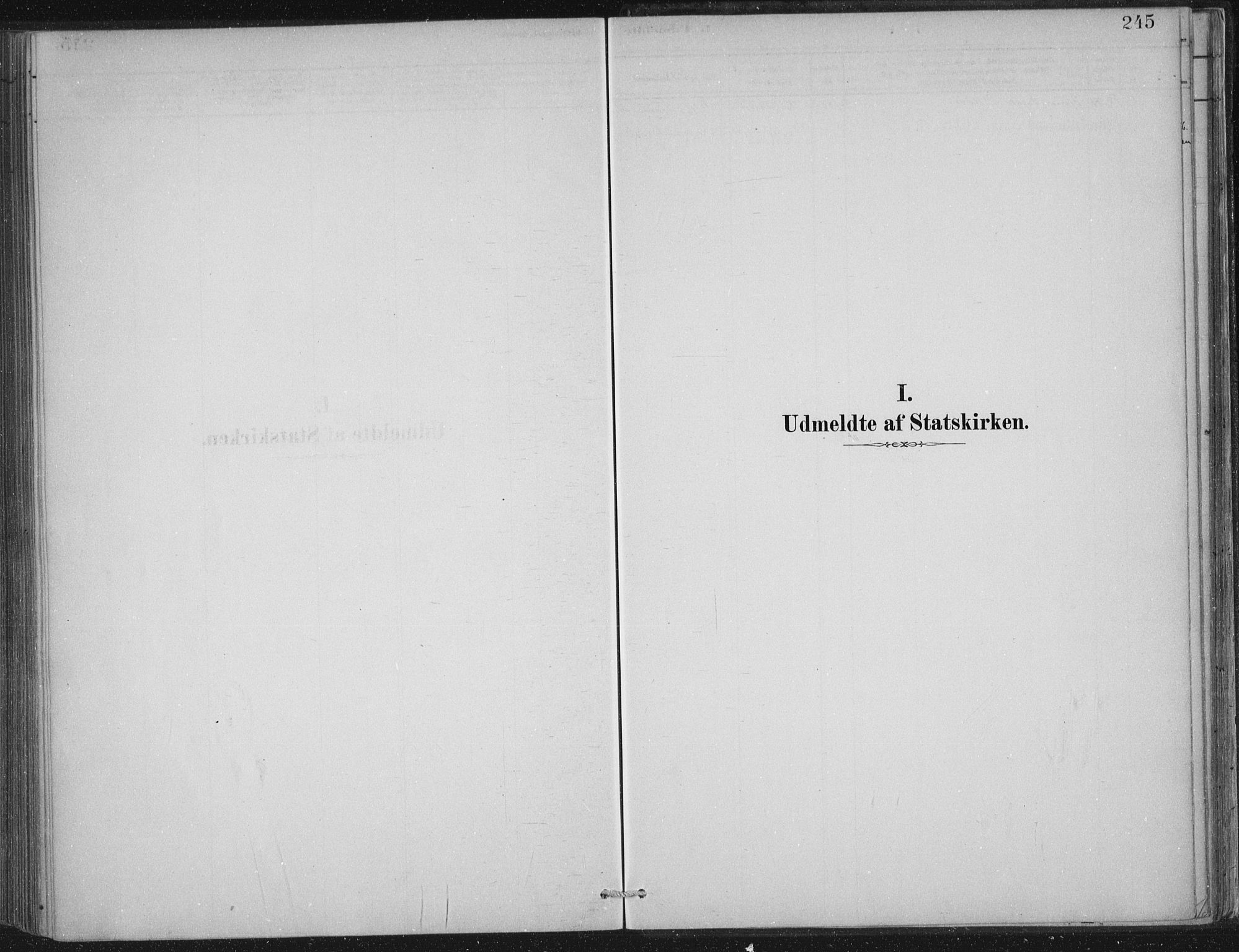 Lærdal sokneprestembete, SAB/A-81201: Ministerialbok nr. D  1, 1878-1908, s. 245