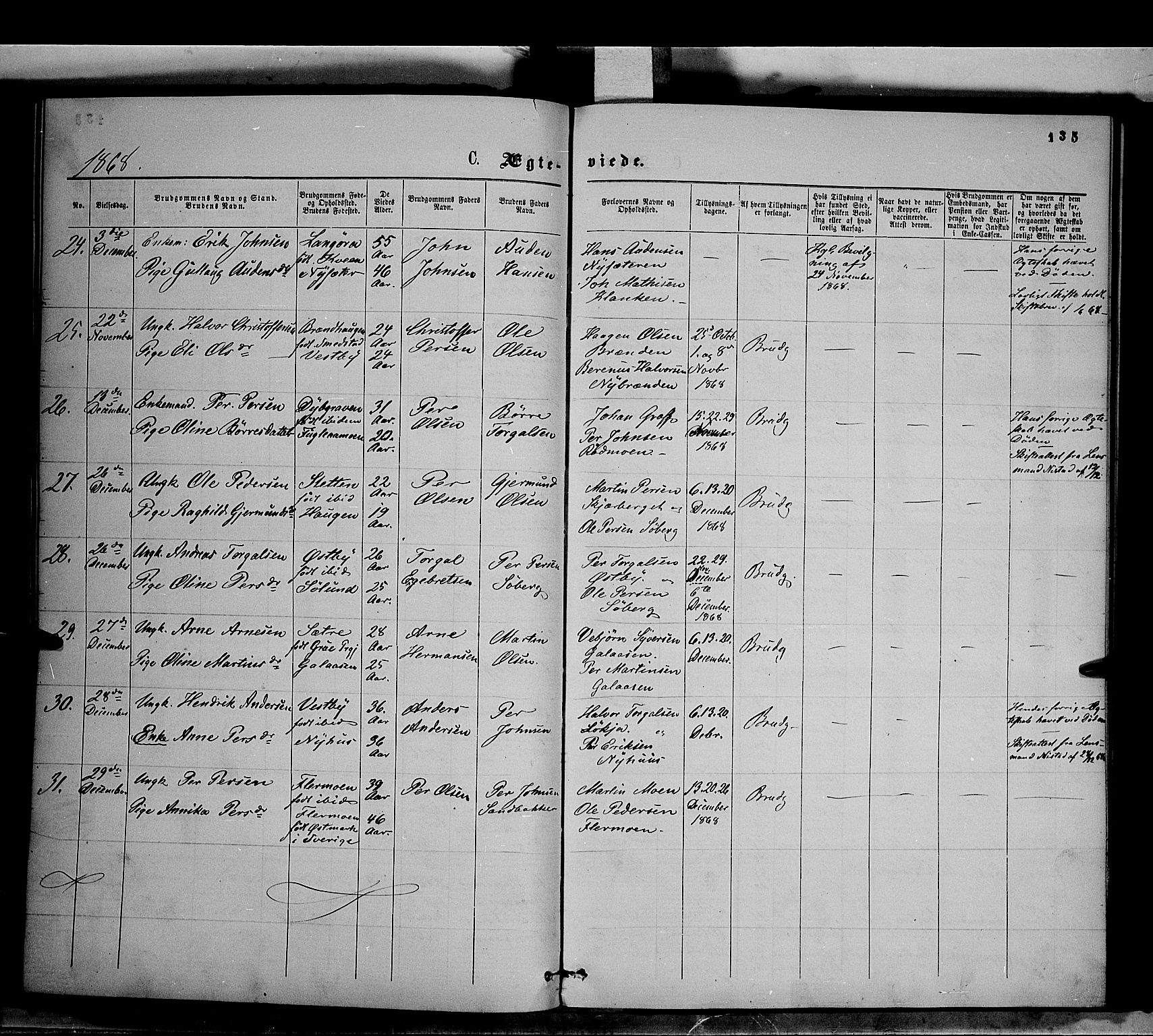 Trysil prestekontor, AV/SAH-PREST-046/H/Ha/Haa/L0006: Ministerialbok nr. 6, 1866-1873, s. 135