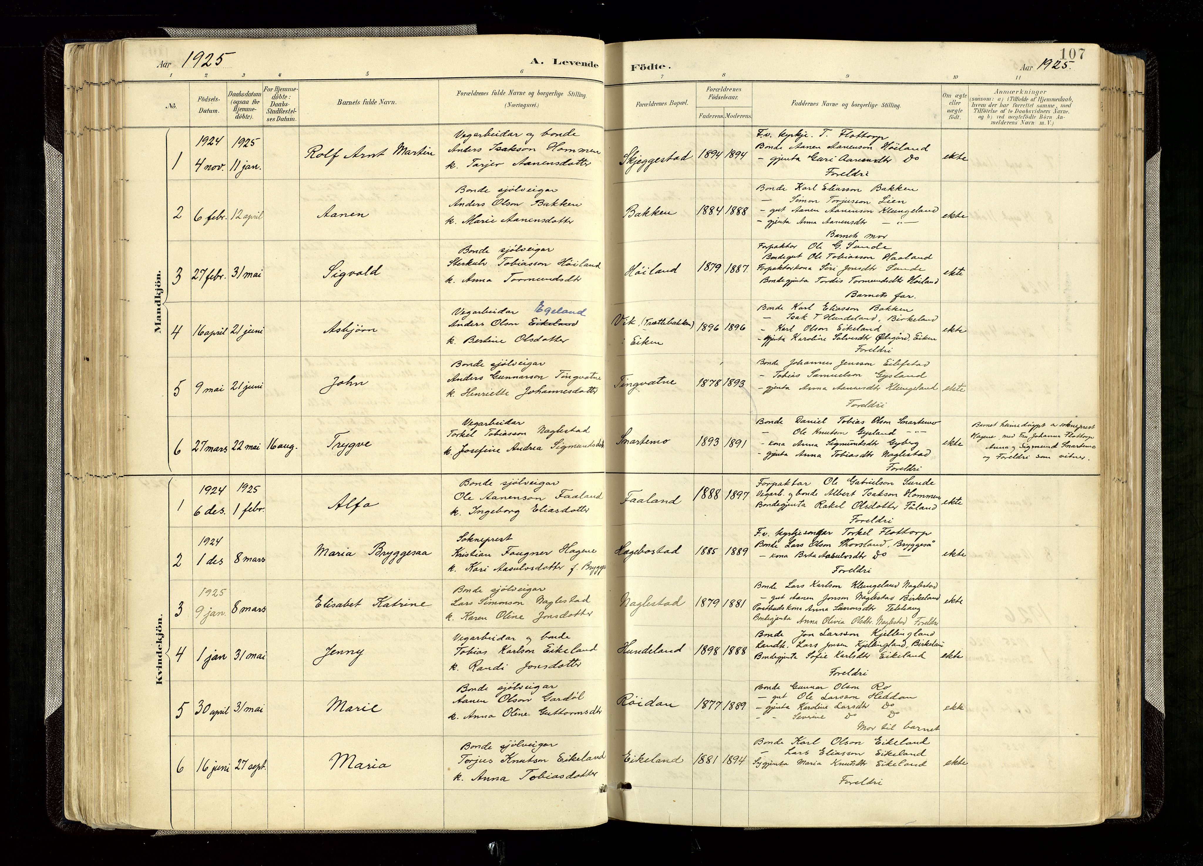 Hægebostad sokneprestkontor, AV/SAK-1111-0024/F/Fa/Faa/L0006: Ministerialbok nr. A 6, 1887-1929, s. 107