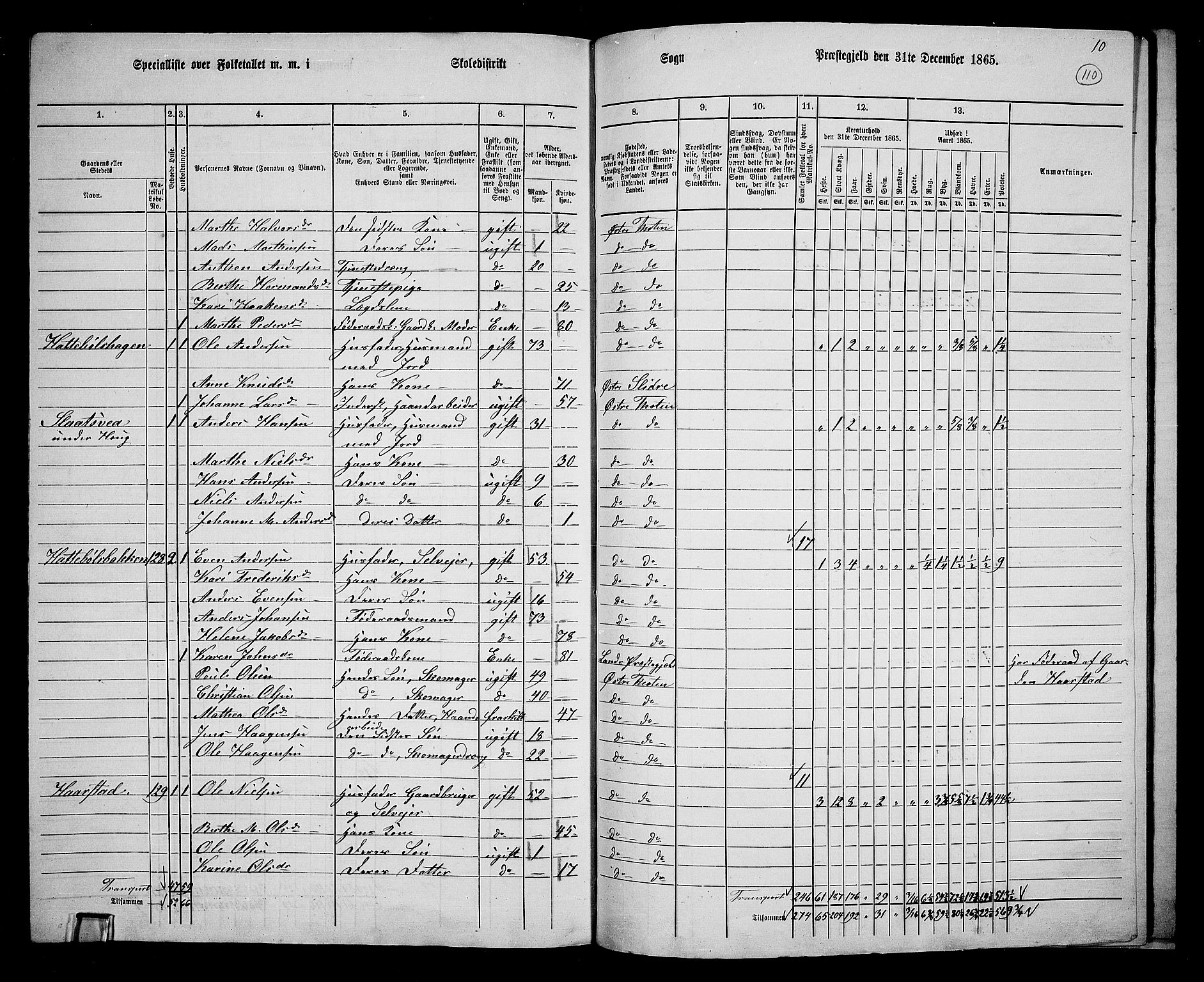 RA, Folketelling 1865 for 0528P Østre Toten prestegjeld, 1865, s. 119