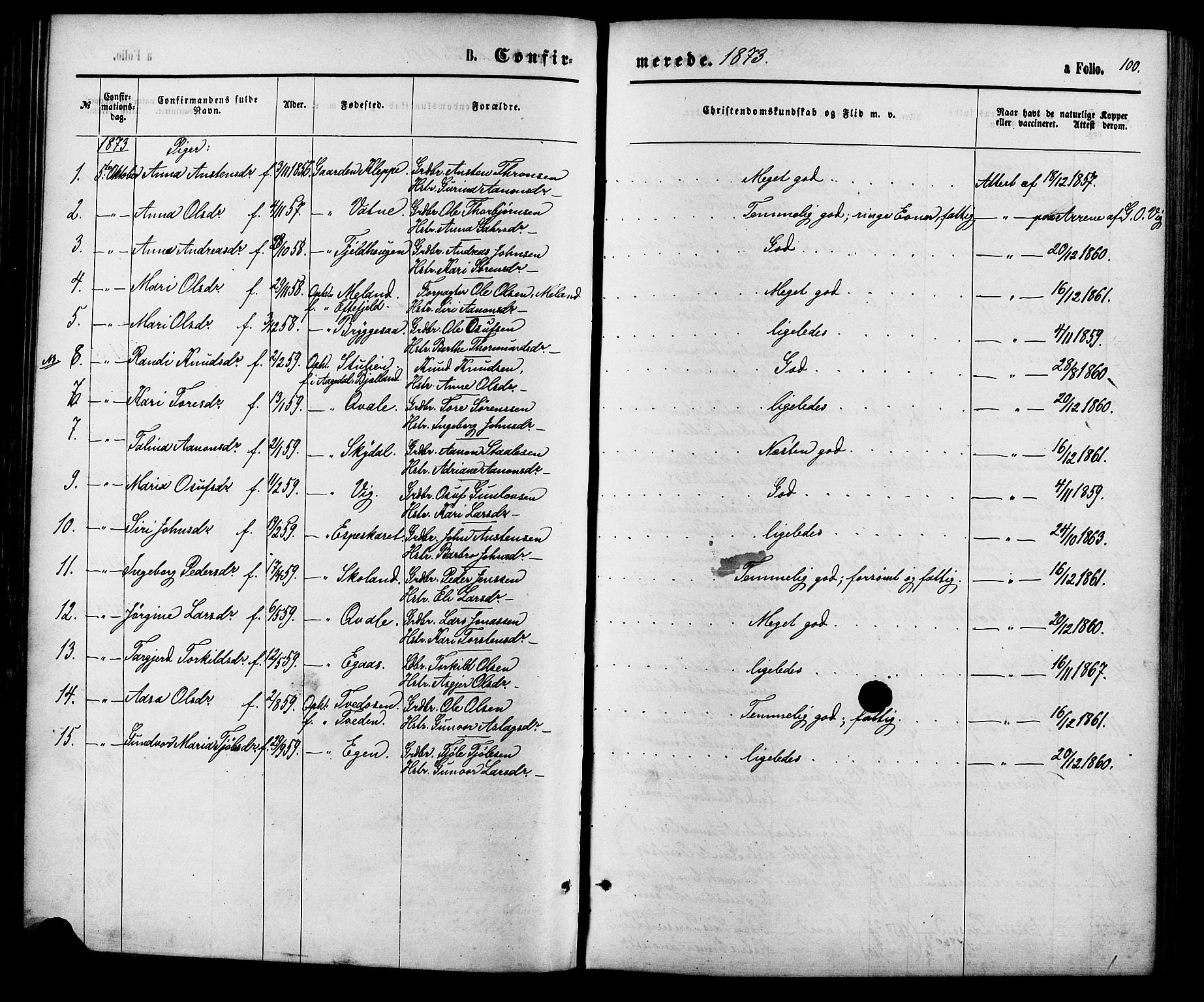 Hægebostad sokneprestkontor, AV/SAK-1111-0024/F/Fa/Fab/L0003: Ministerialbok nr. A 3, 1872-1886, s. 100