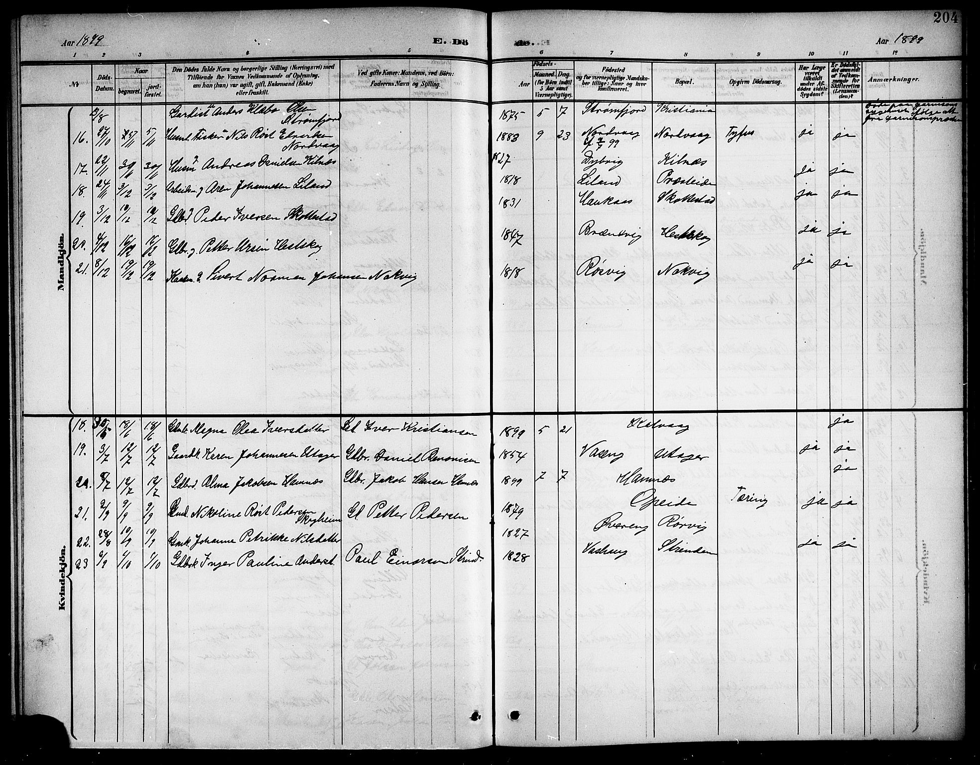 Ministerialprotokoller, klokkerbøker og fødselsregistre - Nordland, AV/SAT-A-1459/859/L0860: Klokkerbok nr. 859C06, 1899-1909, s. 204