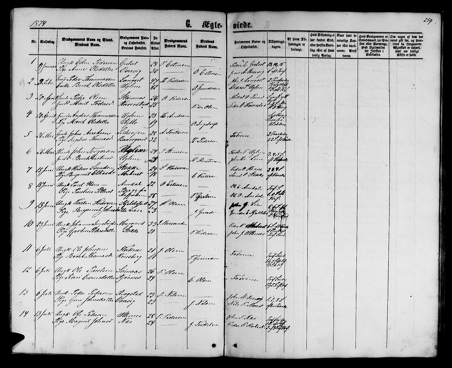 Ministerialprotokoller, klokkerbøker og fødselsregistre - Sør-Trøndelag, SAT/A-1456/695/L1156: Klokkerbok nr. 695C07, 1869-1888, s. 259