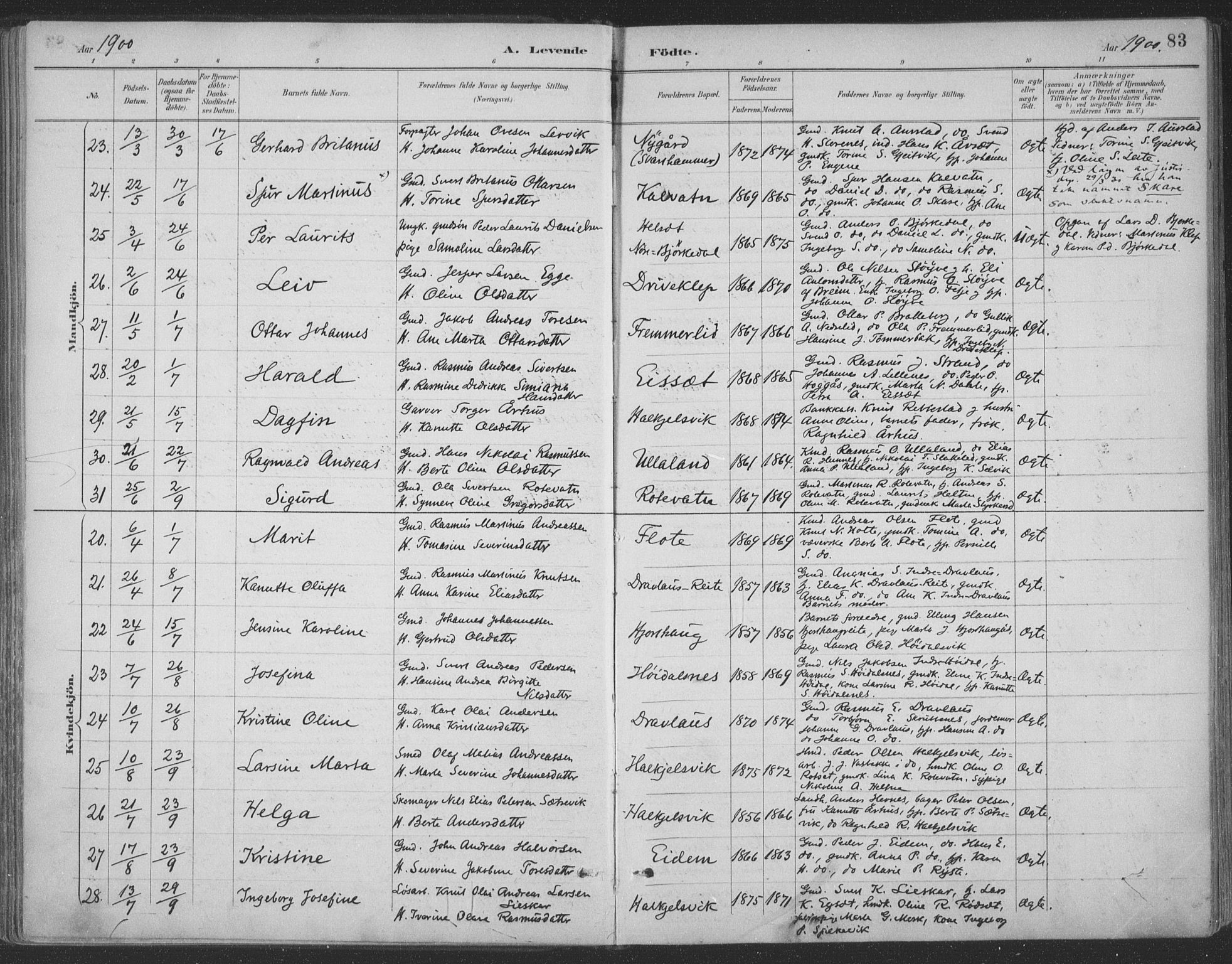 Ministerialprotokoller, klokkerbøker og fødselsregistre - Møre og Romsdal, AV/SAT-A-1454/511/L0142: Ministerialbok nr. 511A09, 1891-1905, s. 83