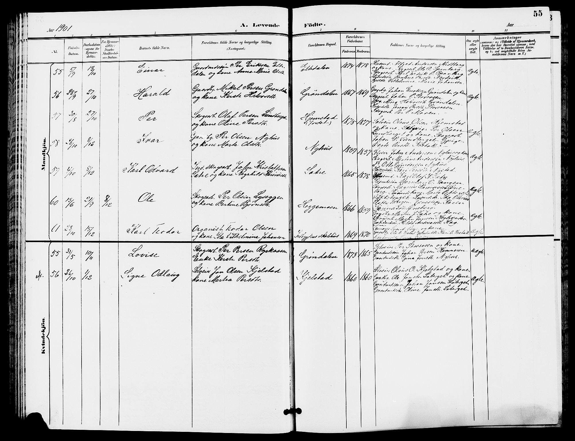 Trysil prestekontor, AV/SAH-PREST-046/H/Ha/Hab/L0006: Klokkerbok nr. 6, 1896-1912, s. 55