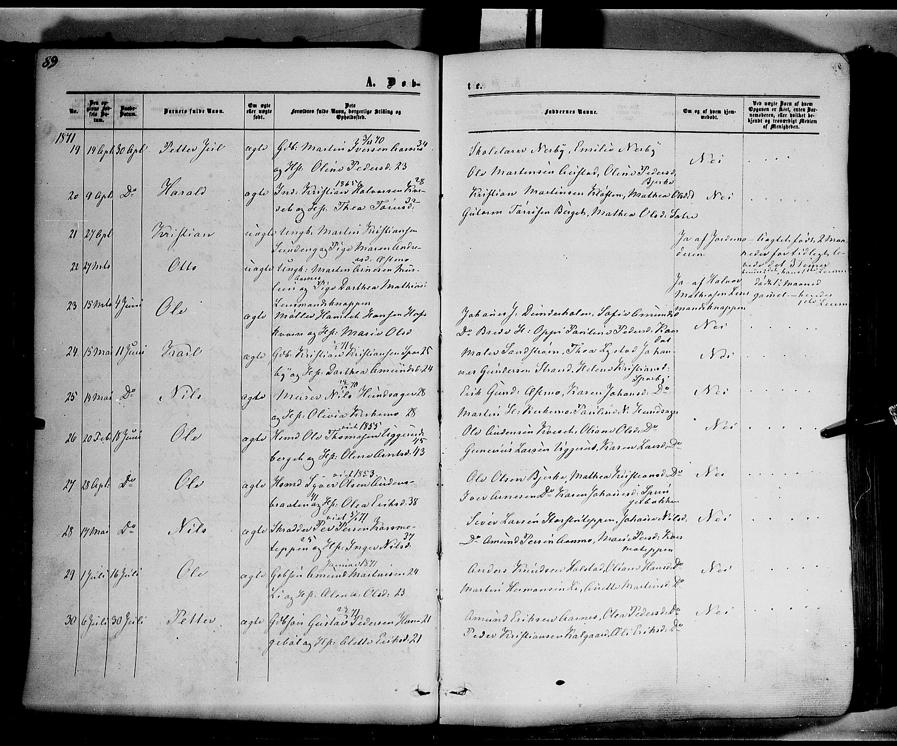 Hof prestekontor, AV/SAH-PREST-038/H/Ha/Haa/L0009: Ministerialbok nr. 9, 1862-1877, s. 89