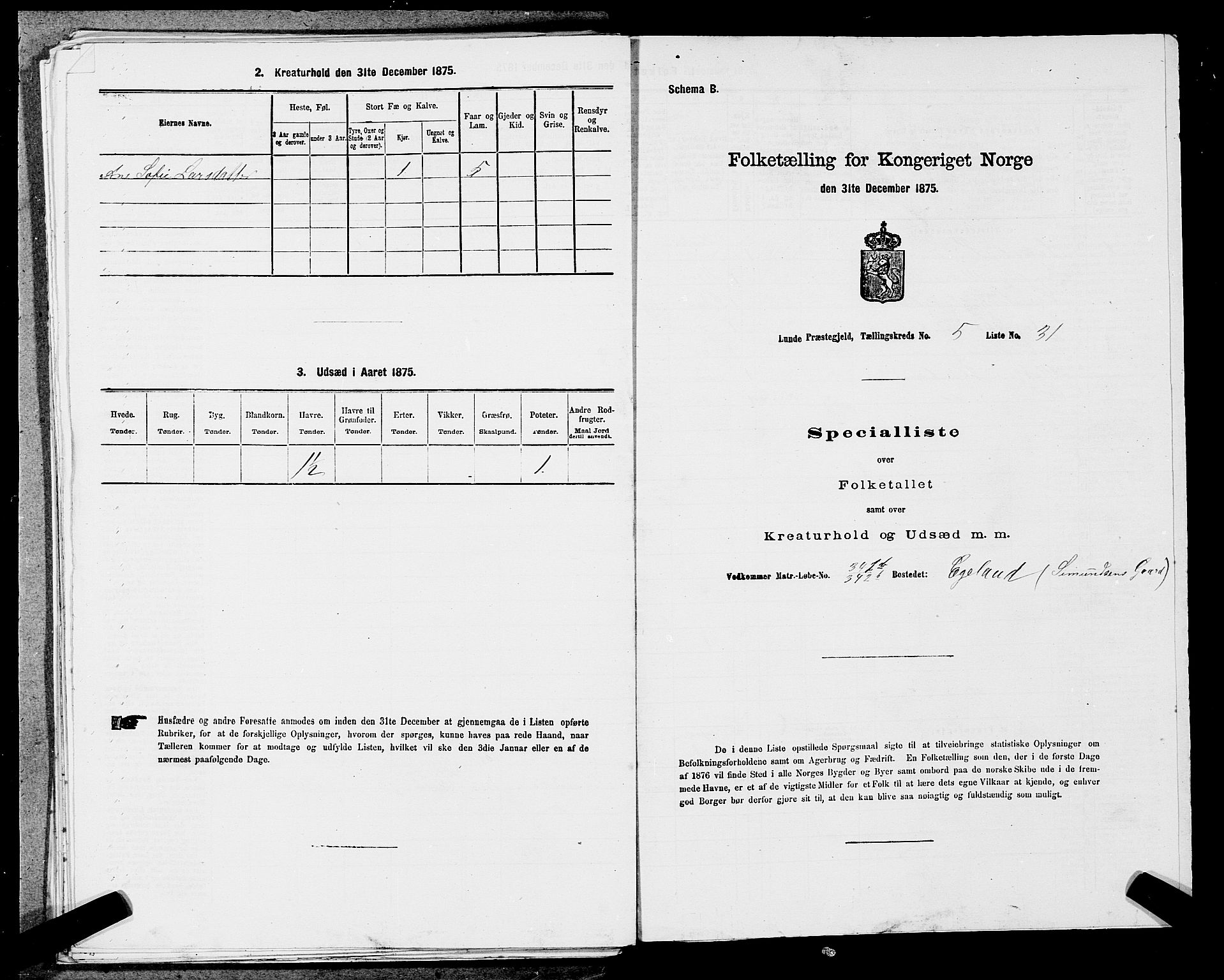 SAST, Folketelling 1875 for 1112P Lund prestegjeld, 1875, s. 897