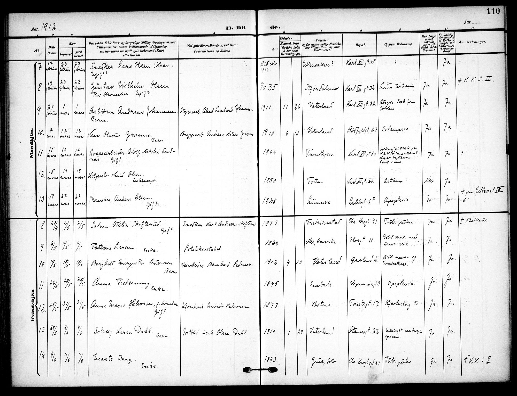 Vaterland prestekontor Kirkebøker, AV/SAO-A-10880/F/Fa/L0002: Ministerialbok nr. 2, 1907-1921, s. 110