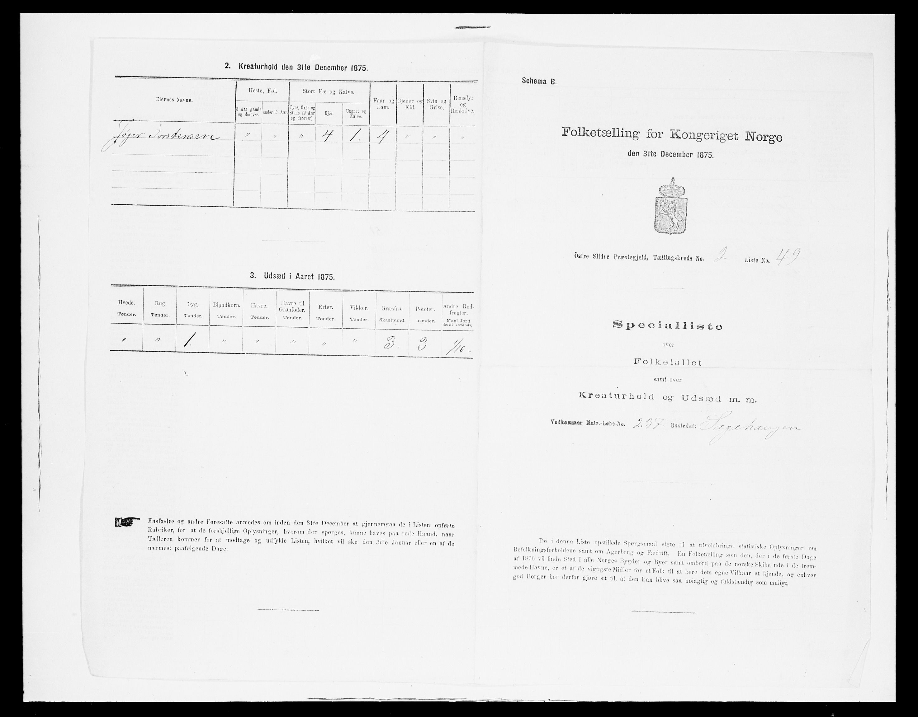 SAH, Folketelling 1875 for 0544P Øystre Slidre prestegjeld, 1875, s. 271