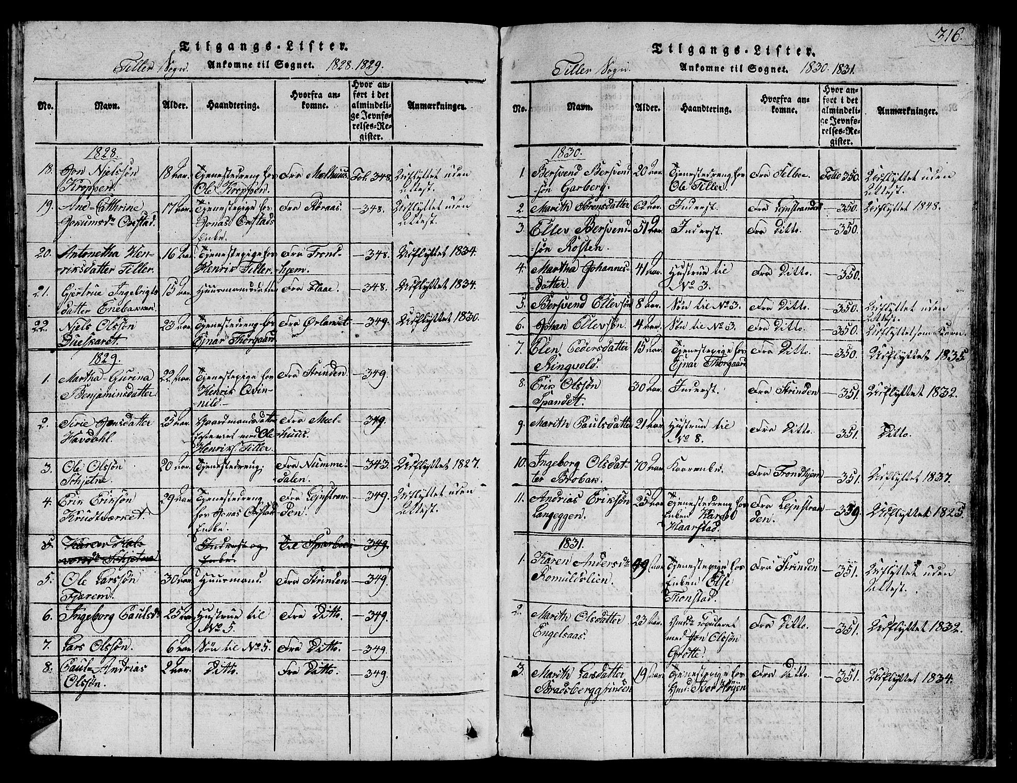 Ministerialprotokoller, klokkerbøker og fødselsregistre - Sør-Trøndelag, SAT/A-1456/621/L0458: Klokkerbok nr. 621C01, 1816-1865, s. 316