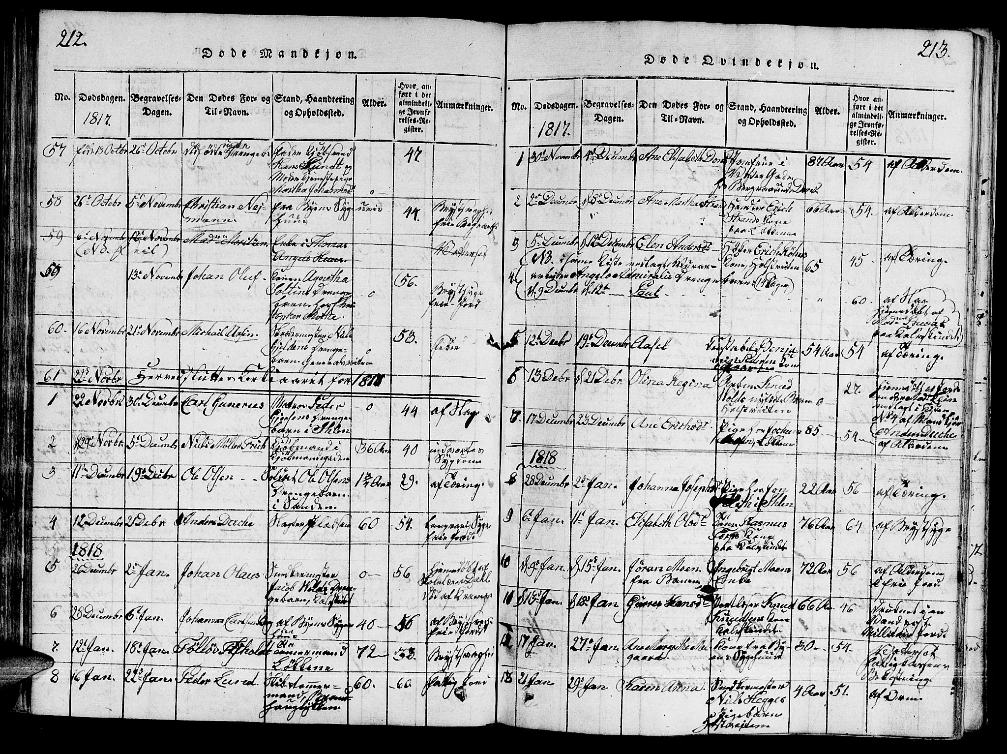 Ministerialprotokoller, klokkerbøker og fødselsregistre - Sør-Trøndelag, SAT/A-1456/601/L0043: Ministerialbok nr. 601A11, 1815-1821, s. 212-213
