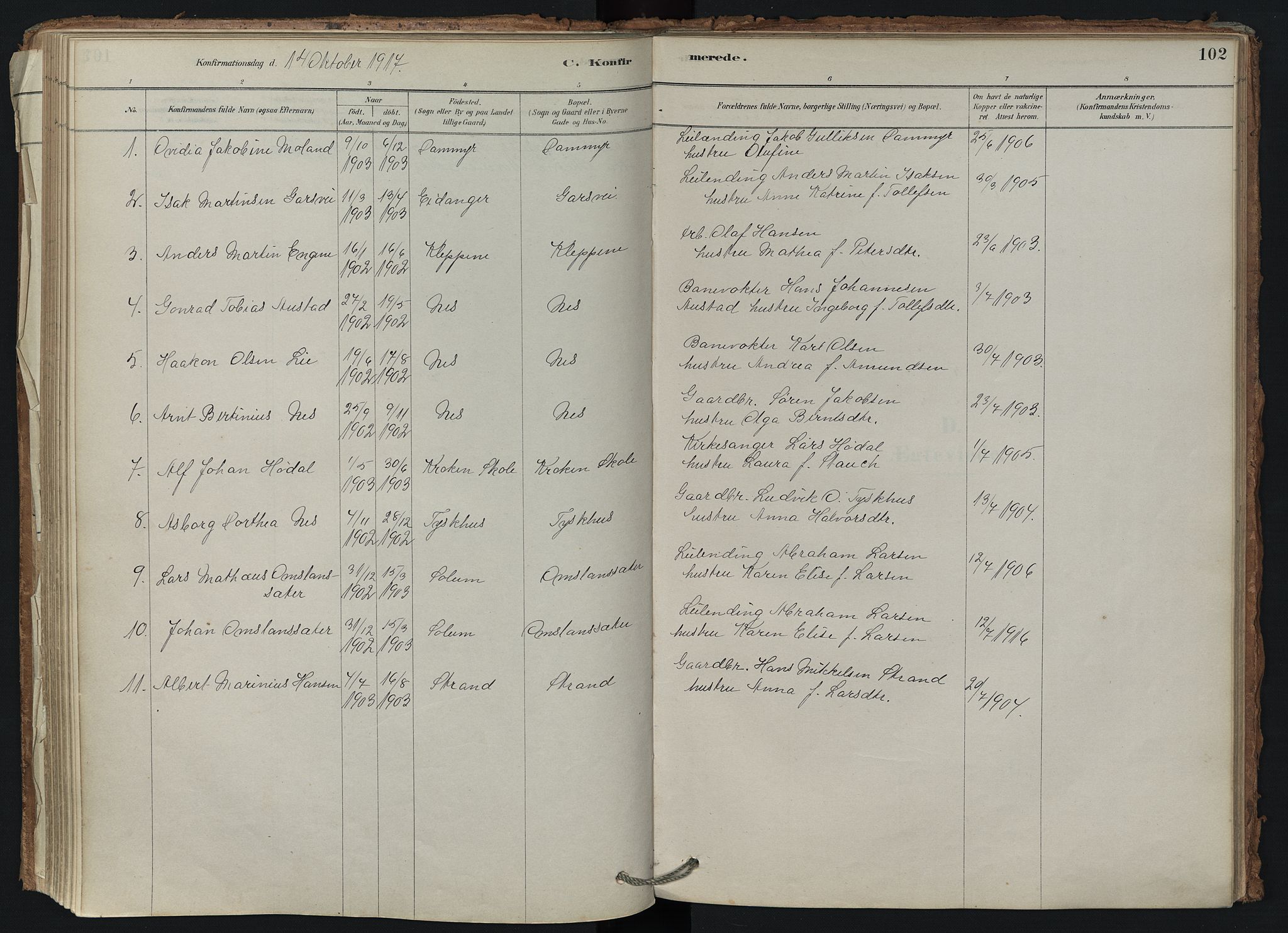 Brunlanes kirkebøker, SAKO/A-342/F/Fd/L0001: Ministerialbok nr. IV 1, 1878-1917, s. 102