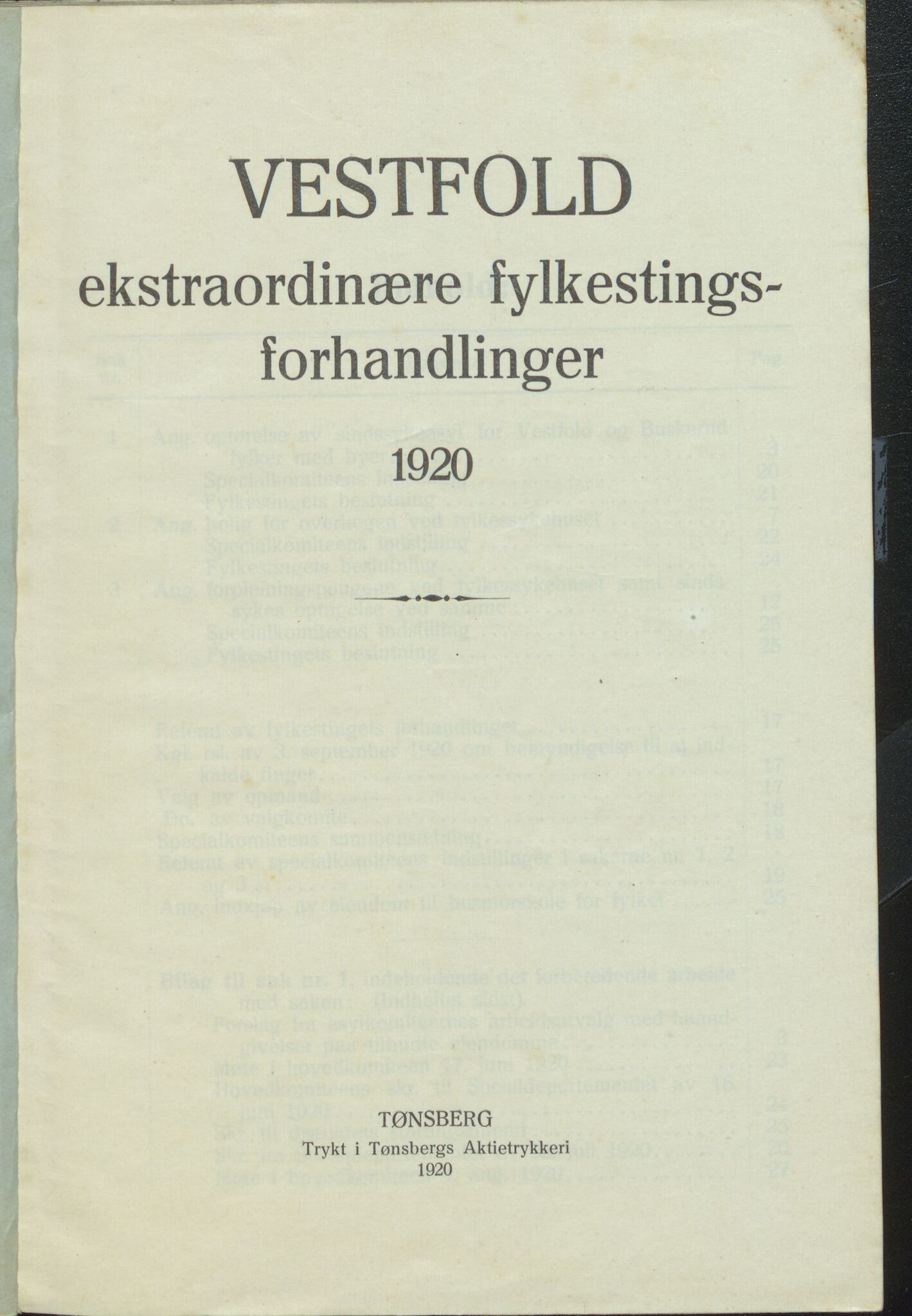 Vestfold fylkeskommune. Fylkestinget, VEMU/A-1315/A/Ab/Abb/L0070: Fylkestingsforhandlinger, 1920