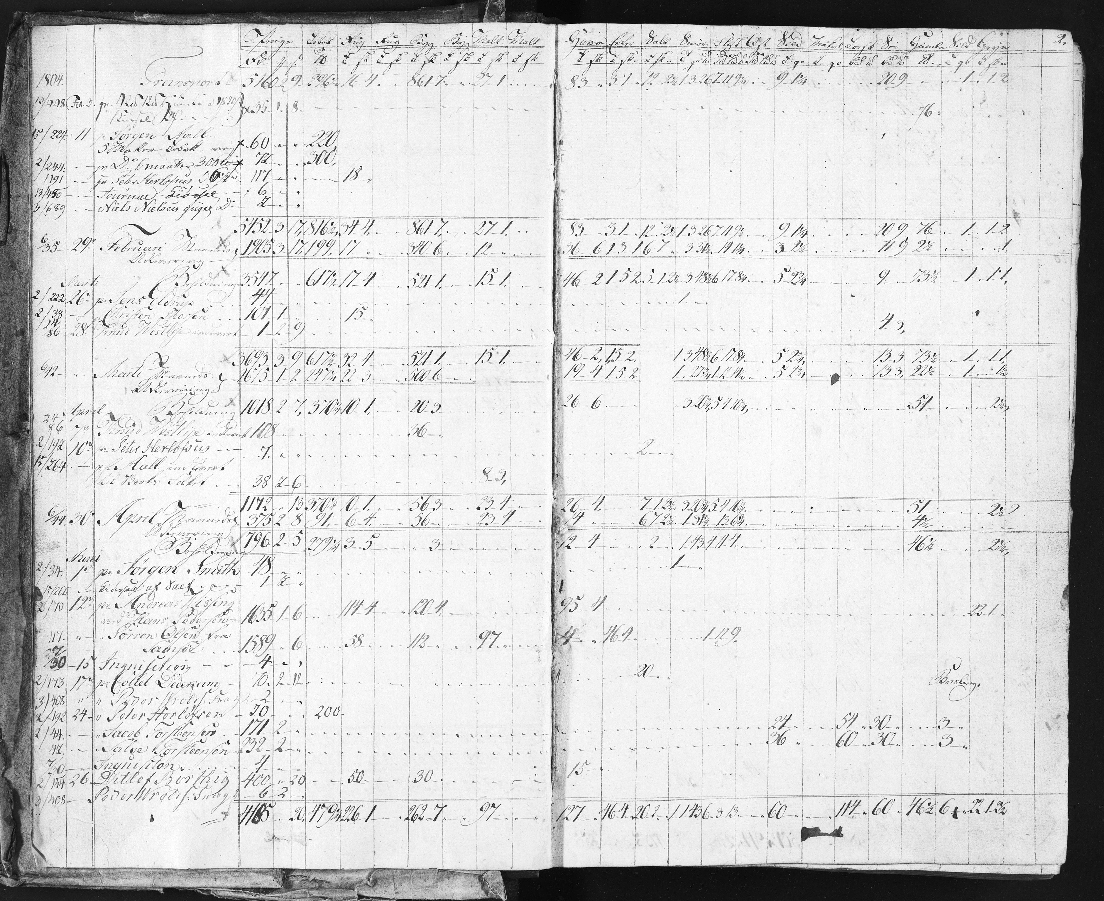 Baaseland Jernverk og Næs Jernverk, NESJ/NJM-001/01/01/L0116: Magasinet, Tvedestrand. Regnskap. Proviantbøker, 1804-1806
