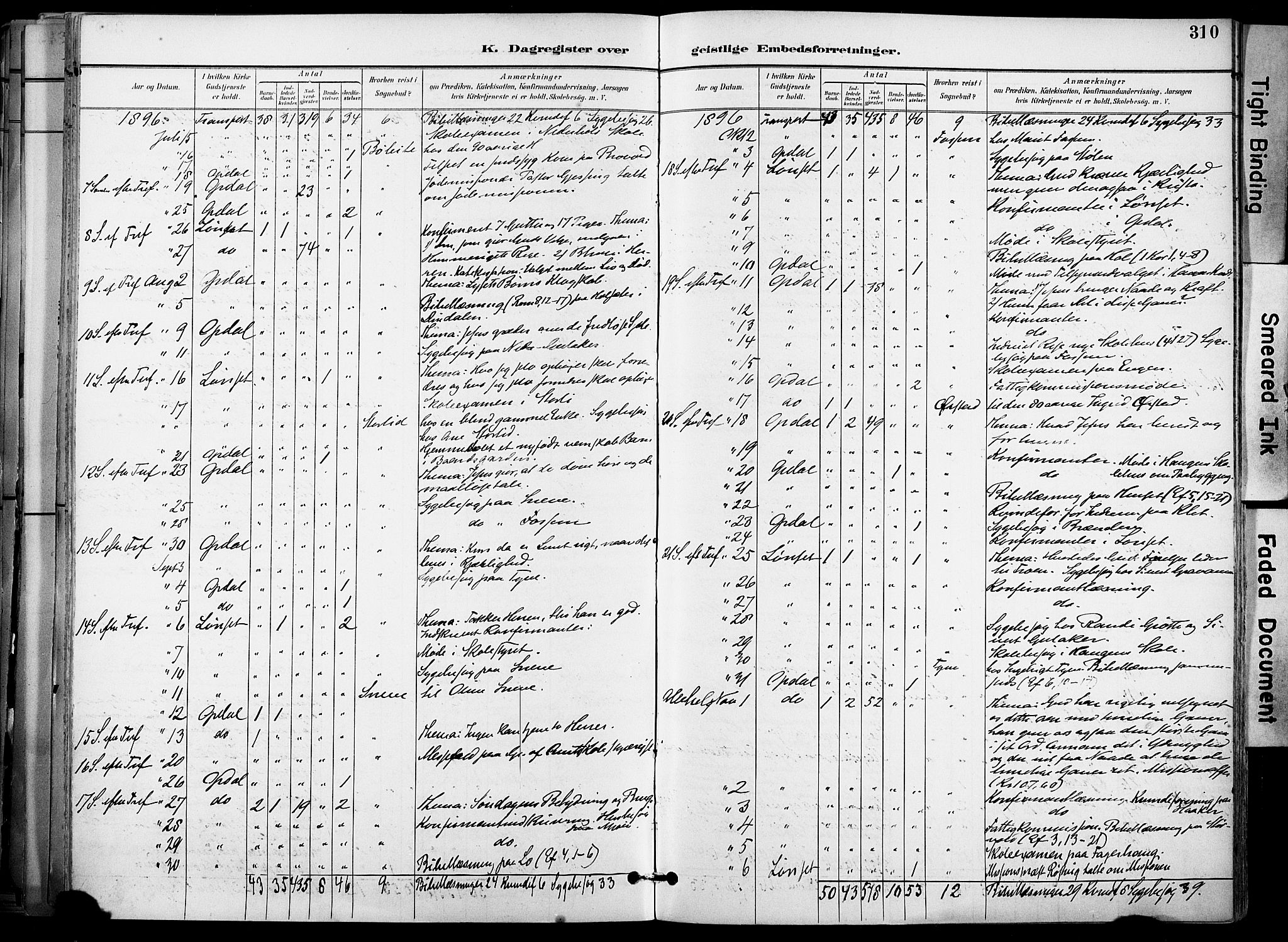 Ministerialprotokoller, klokkerbøker og fødselsregistre - Sør-Trøndelag, AV/SAT-A-1456/678/L0902: Ministerialbok nr. 678A11, 1895-1911, s. 310