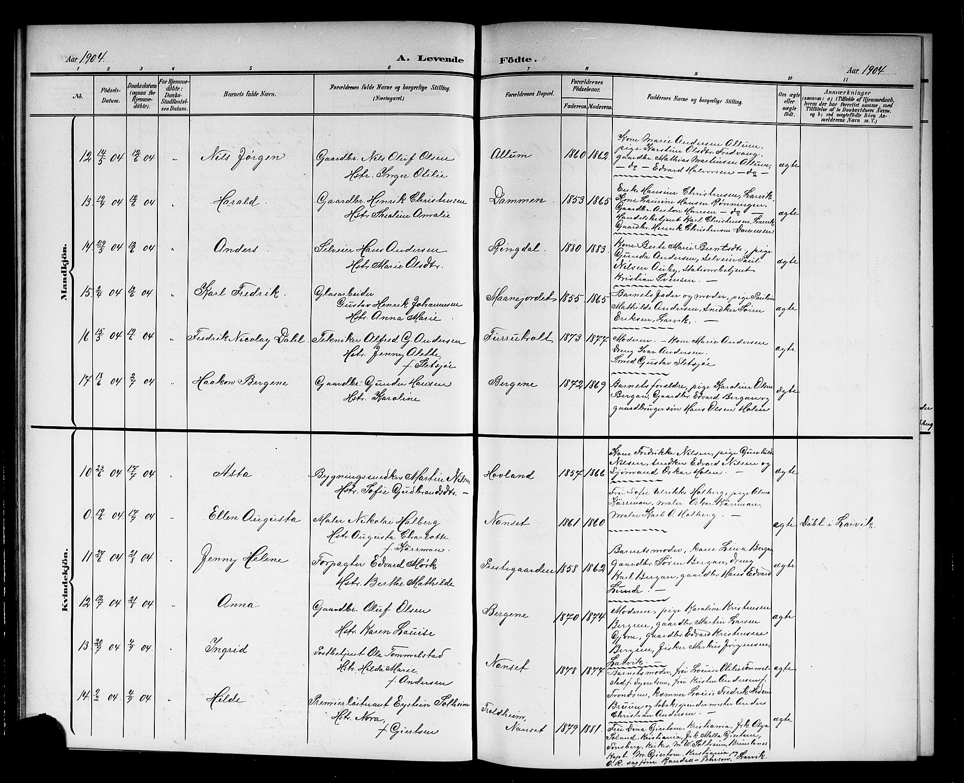 Hedrum kirkebøker, AV/SAKO-A-344/G/Ga/L0004: Klokkerbok nr. I 4, 1902-1915