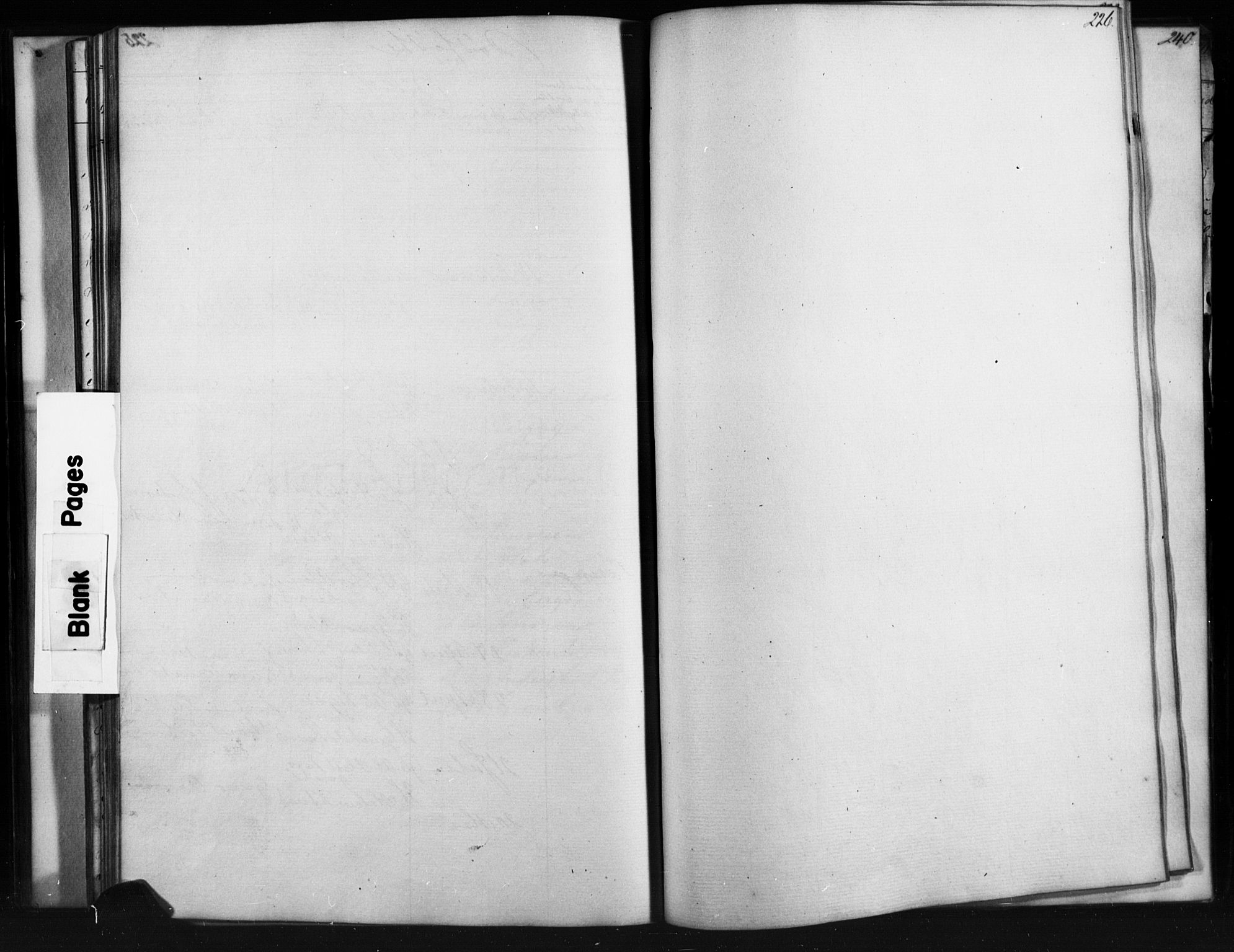 Skjåk prestekontor, SAH/PREST-072/H/Ha/Hab/L0001: Klokkerbok nr. 1, 1865-1893, s. 226