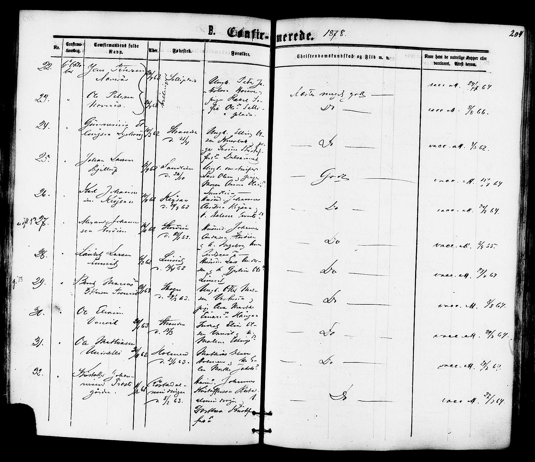 Ministerialprotokoller, klokkerbøker og fødselsregistre - Nord-Trøndelag, AV/SAT-A-1458/701/L0009: Ministerialbok nr. 701A09 /1, 1864-1882, s. 204