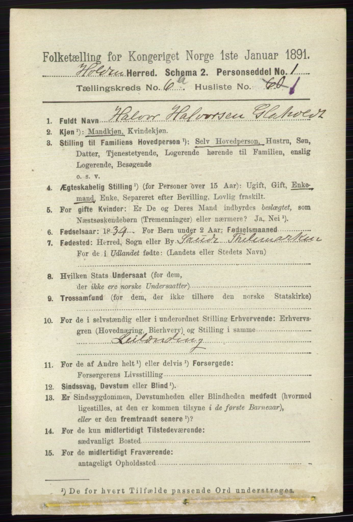 RA, Folketelling 1891 for 0819 Holla herred, 1891, s. 2866