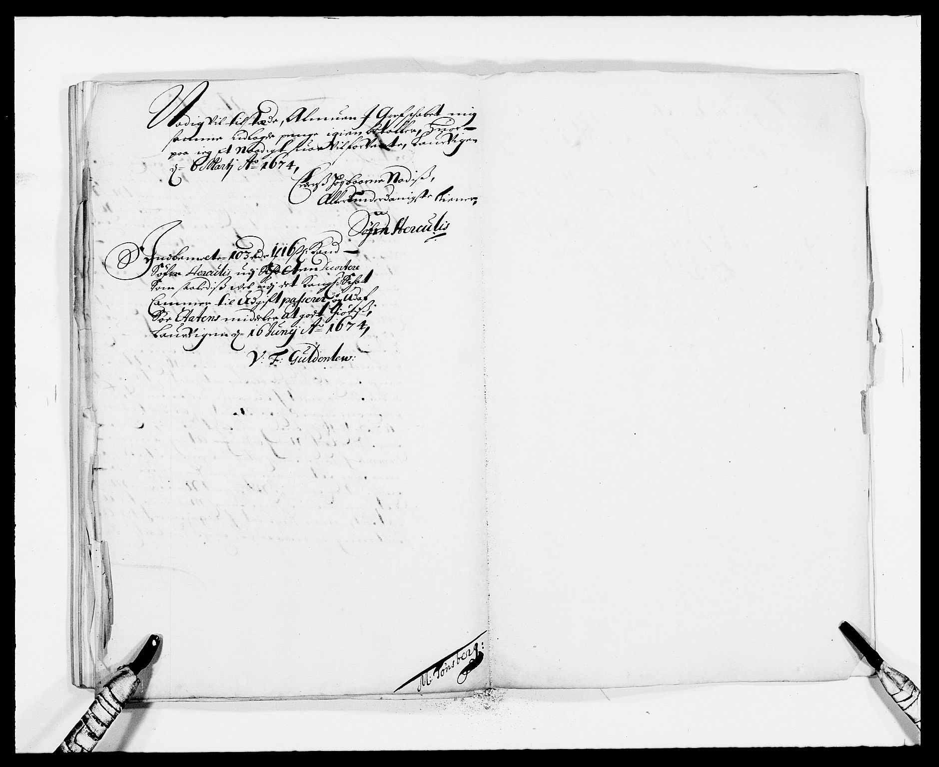 Rentekammeret inntil 1814, Reviderte regnskaper, Fogderegnskap, RA/EA-4092/R33/L1966: Fogderegnskap Larvik grevskap, 1672-1674, s. 139