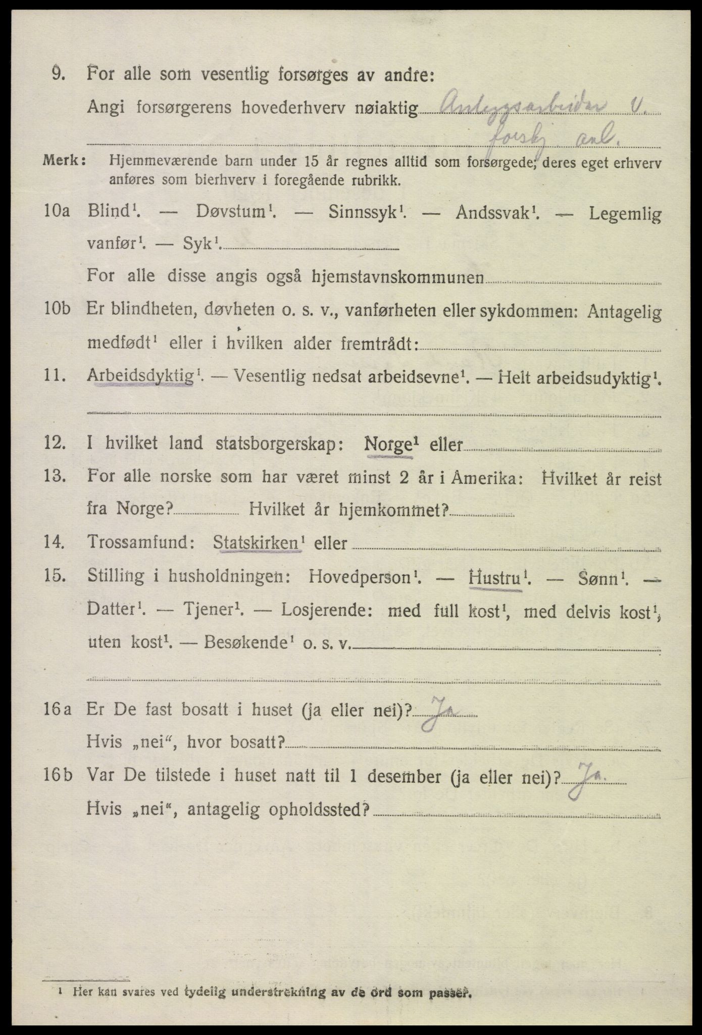 SAK, Folketelling 1920 for 0936 Hornnes herred, 1920, s. 2848
