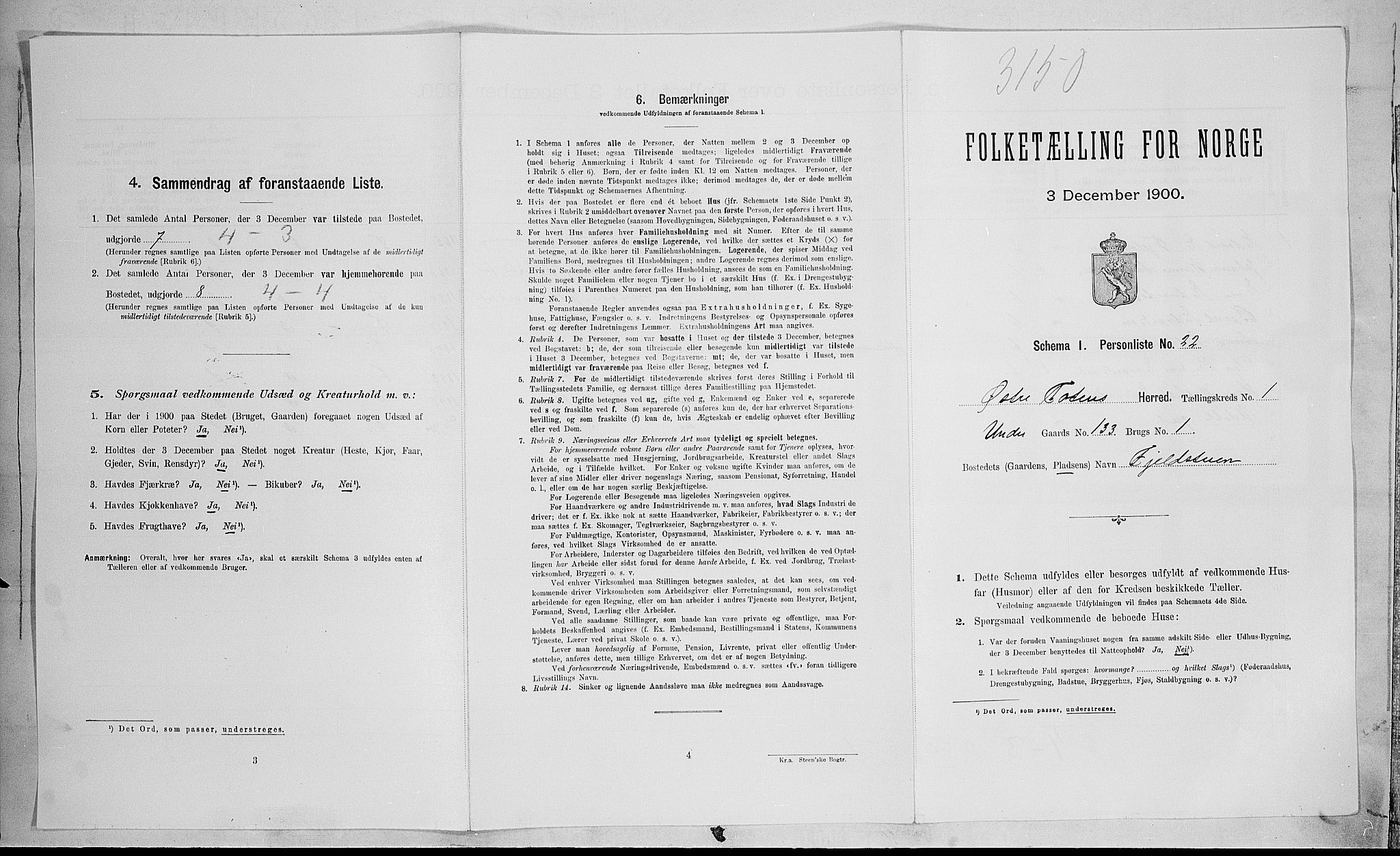 SAH, Folketelling 1900 for 0528 Østre Toten herred, 1900, s. 243