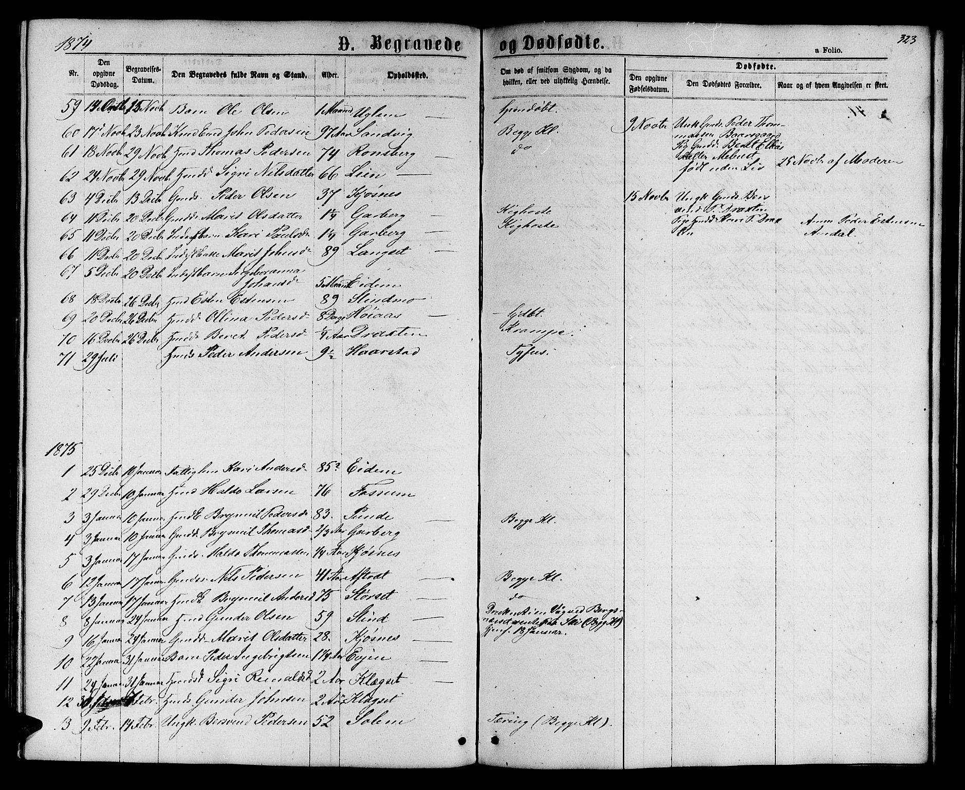 Ministerialprotokoller, klokkerbøker og fødselsregistre - Sør-Trøndelag, AV/SAT-A-1456/695/L1156: Klokkerbok nr. 695C07, 1869-1888, s. 323