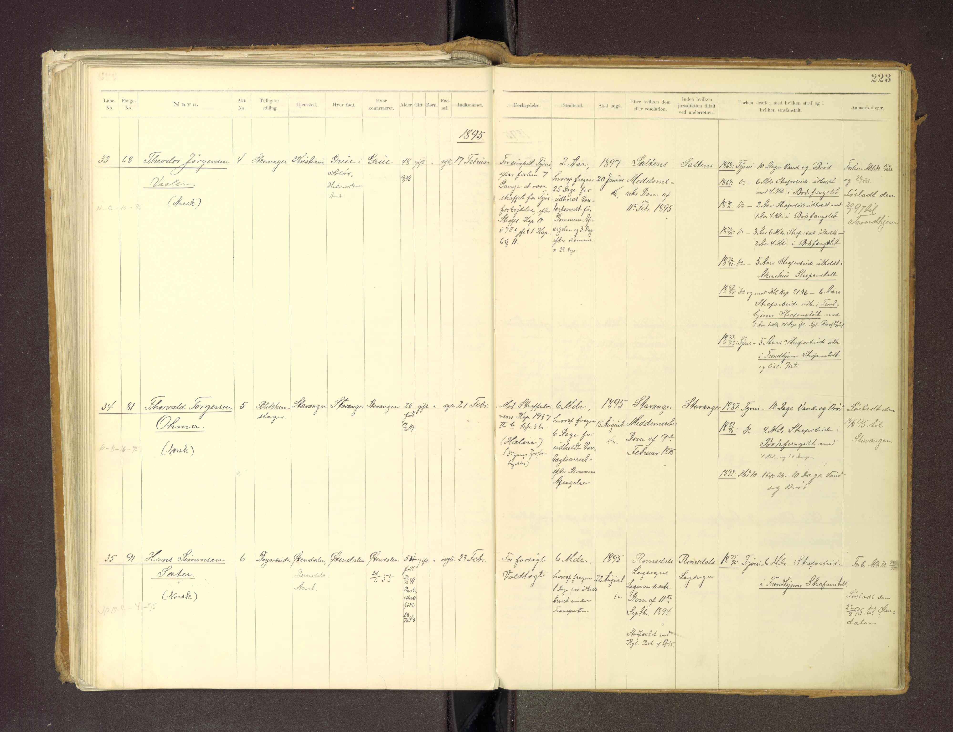 Trondheim tukthus, SAT/A-4619/05/65/L0036: 65.36 Fangeprotokoll m/reg, 1885-1898, s. 223