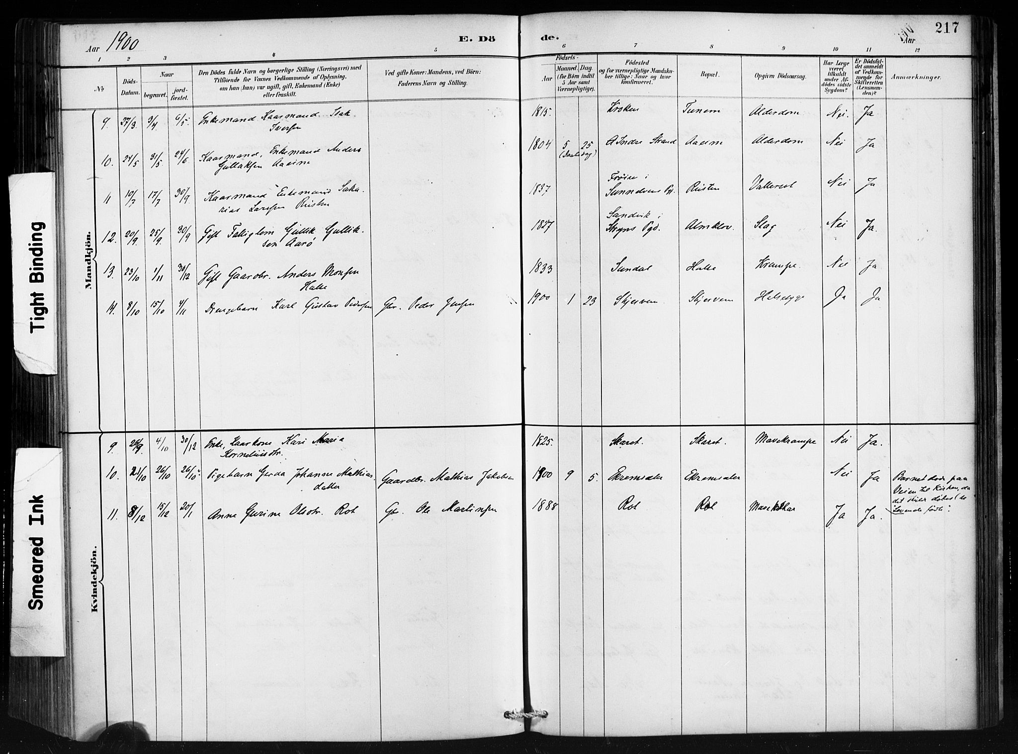 Ministerialprotokoller, klokkerbøker og fødselsregistre - Møre og Romsdal, AV/SAT-A-1454/501/L0008: Ministerialbok nr. 501A08, 1885-1901, s. 217