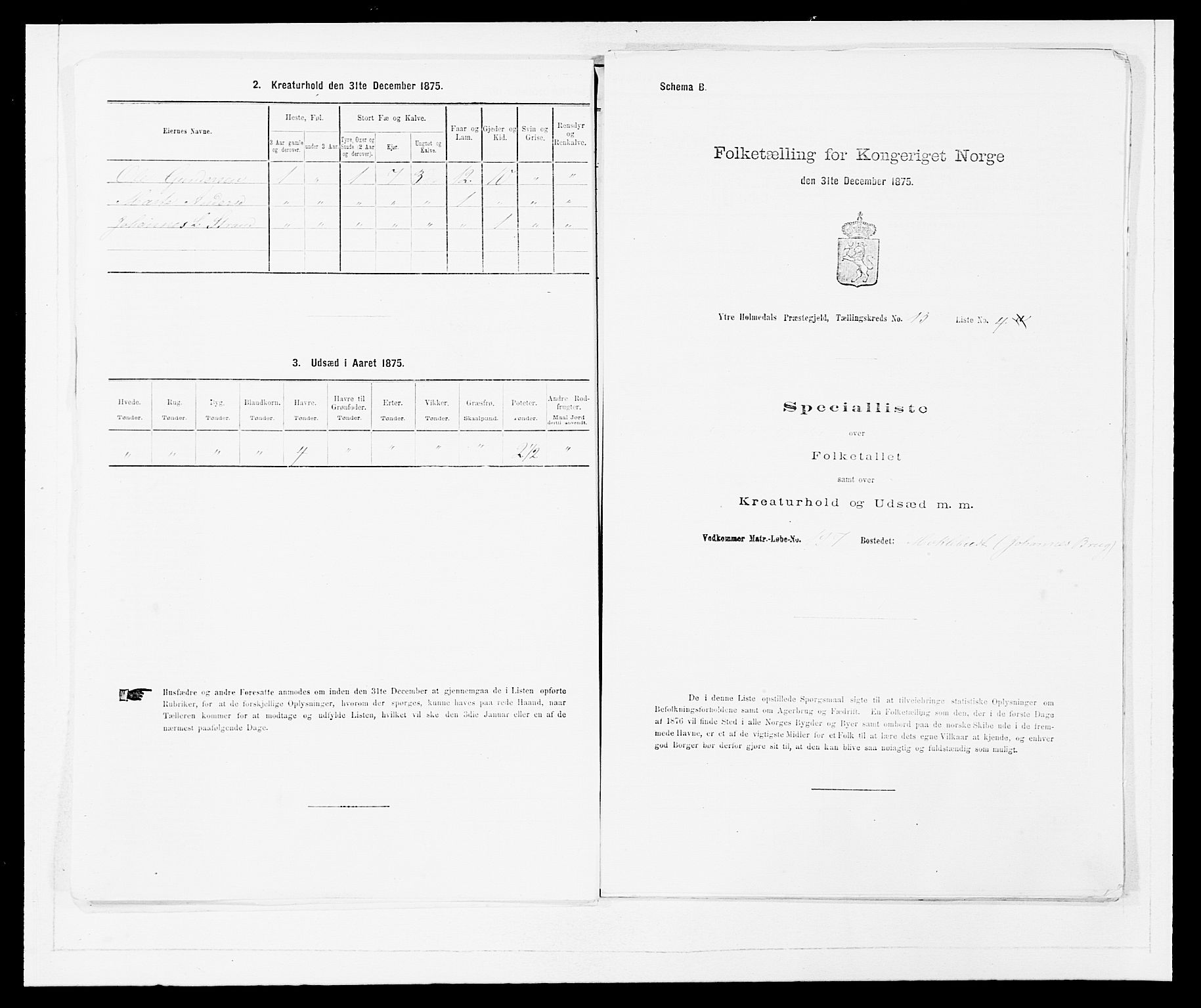 SAB, Folketelling 1875 for 1429P Ytre Holmedal prestegjeld, 1875, s. 869