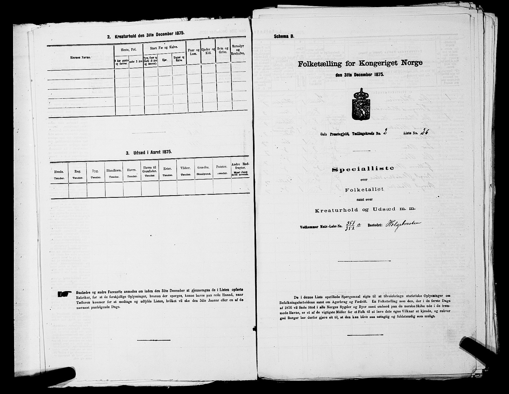 SAKO, Folketelling 1875 for 0617P Gol prestegjeld, 1875, s. 214