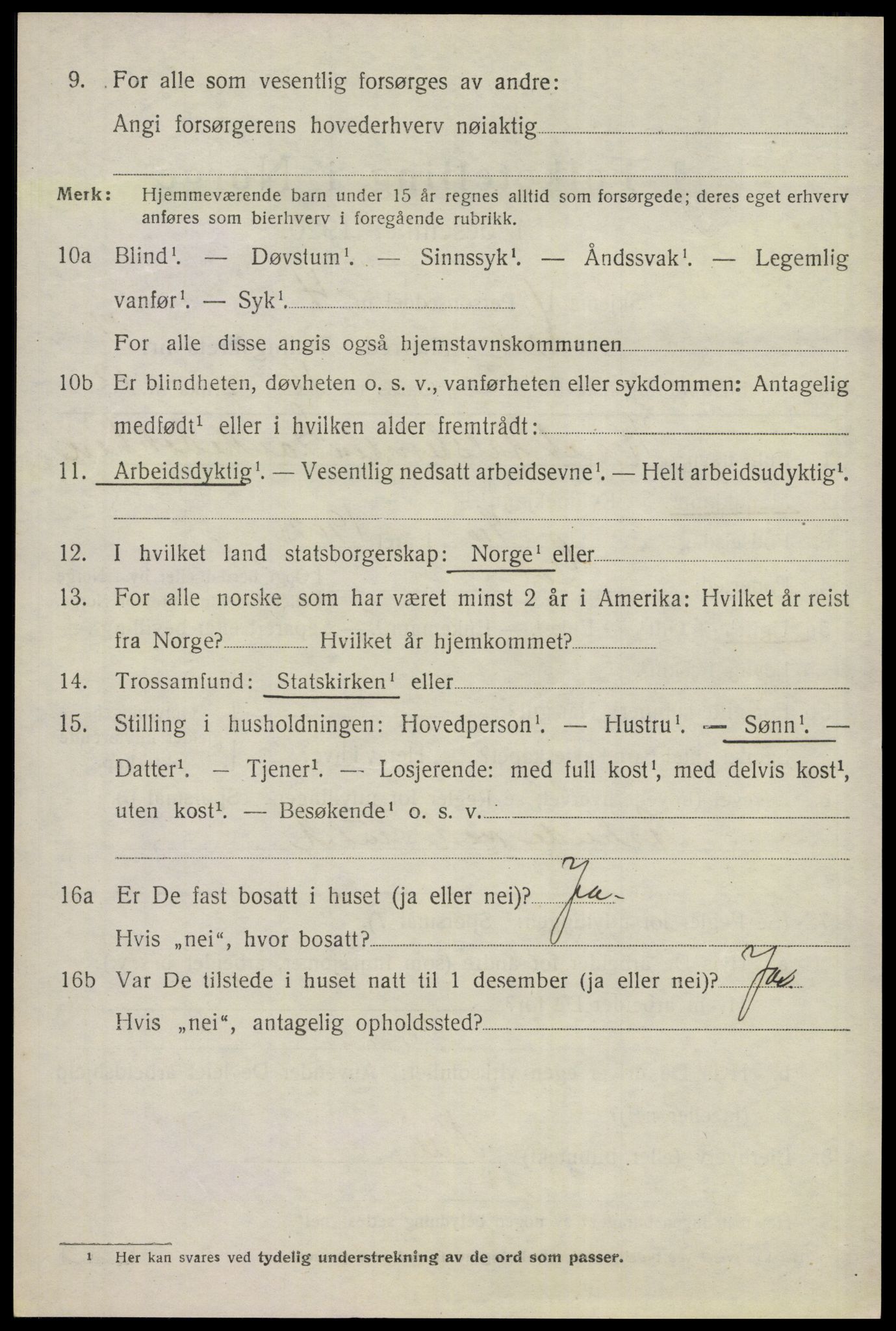 SAKO, Folketelling 1920 for 0617 Gol herred, 1920, s. 3525