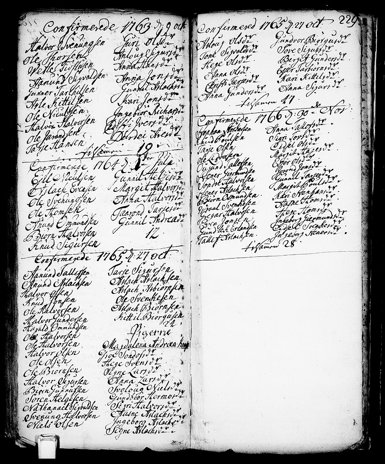 Vinje kirkebøker, SAKO/A-312/F/Fa/L0001: Ministerialbok nr. I 1, 1717-1766, s. 229