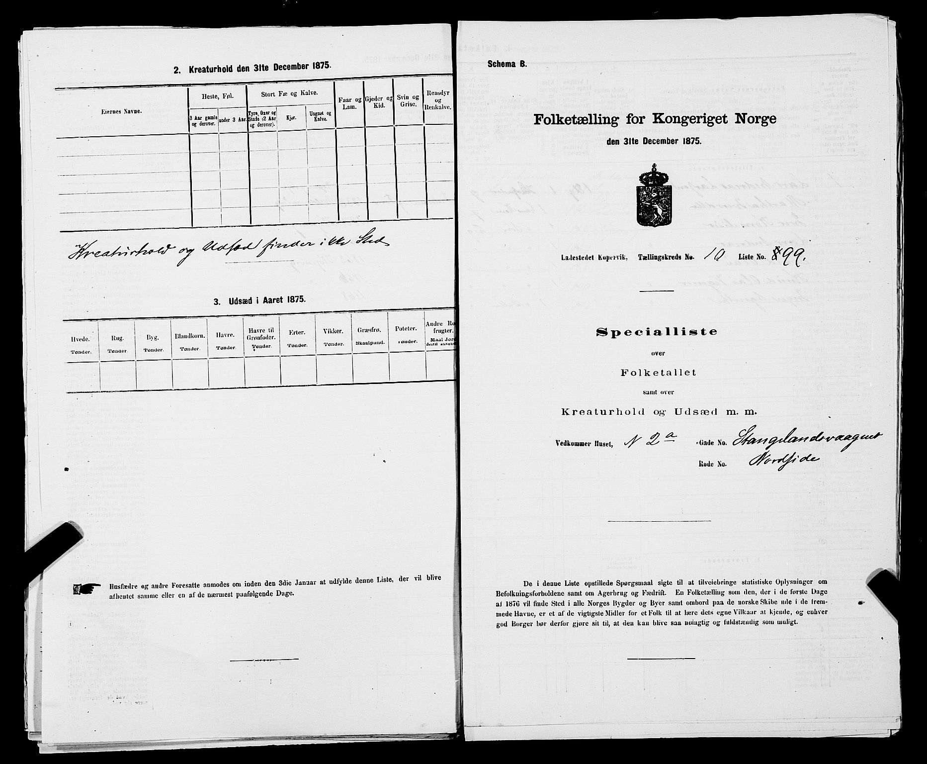 SAST, Folketelling 1875 for 1105B Avaldsnes prestegjeld, Kopervik ladested, 1875, s. 197