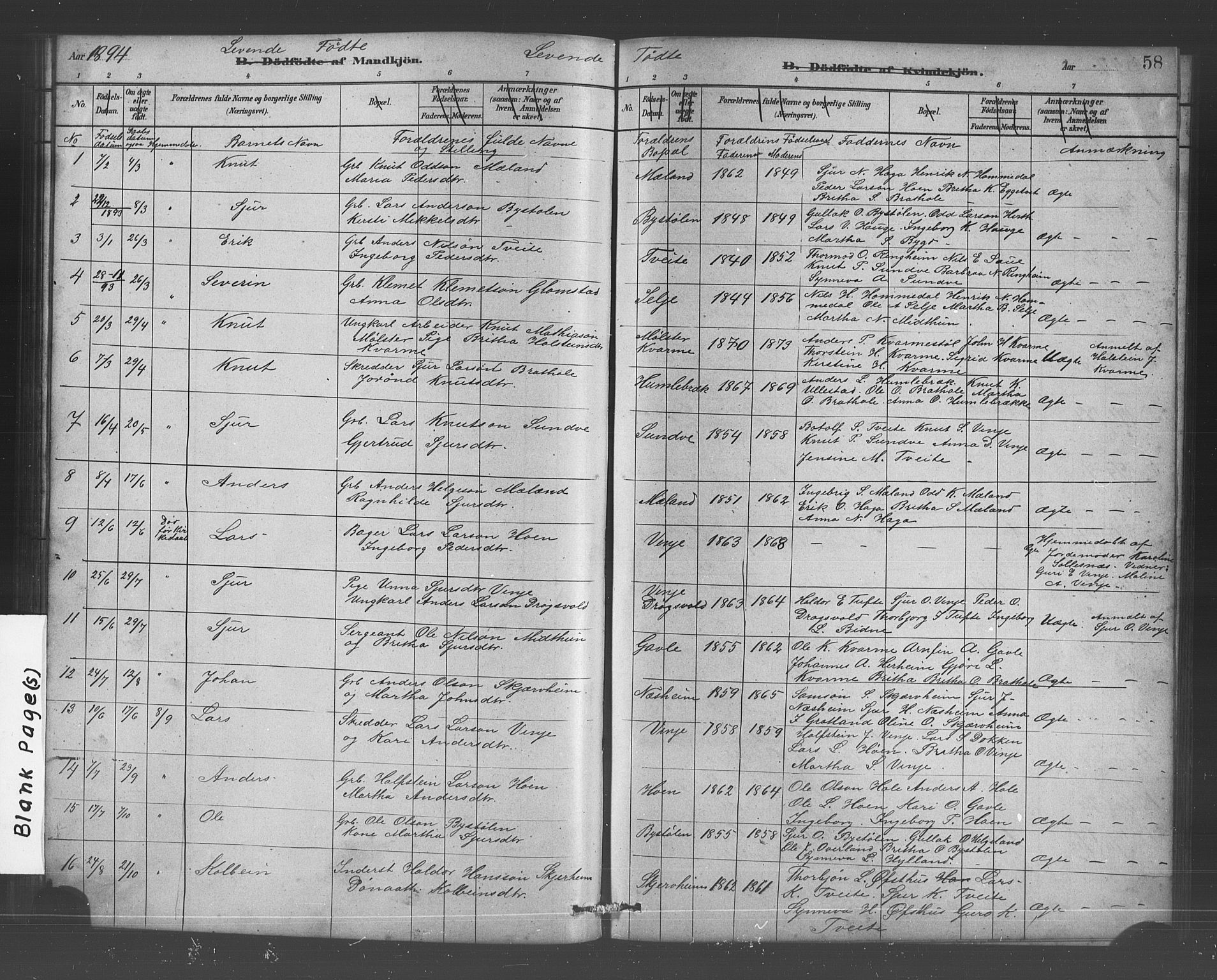 Vossestrand Sokneprestembete, AV/SAB-A-79101/H/Hab: Klokkerbok nr. B 3, 1880-1907, s. 58