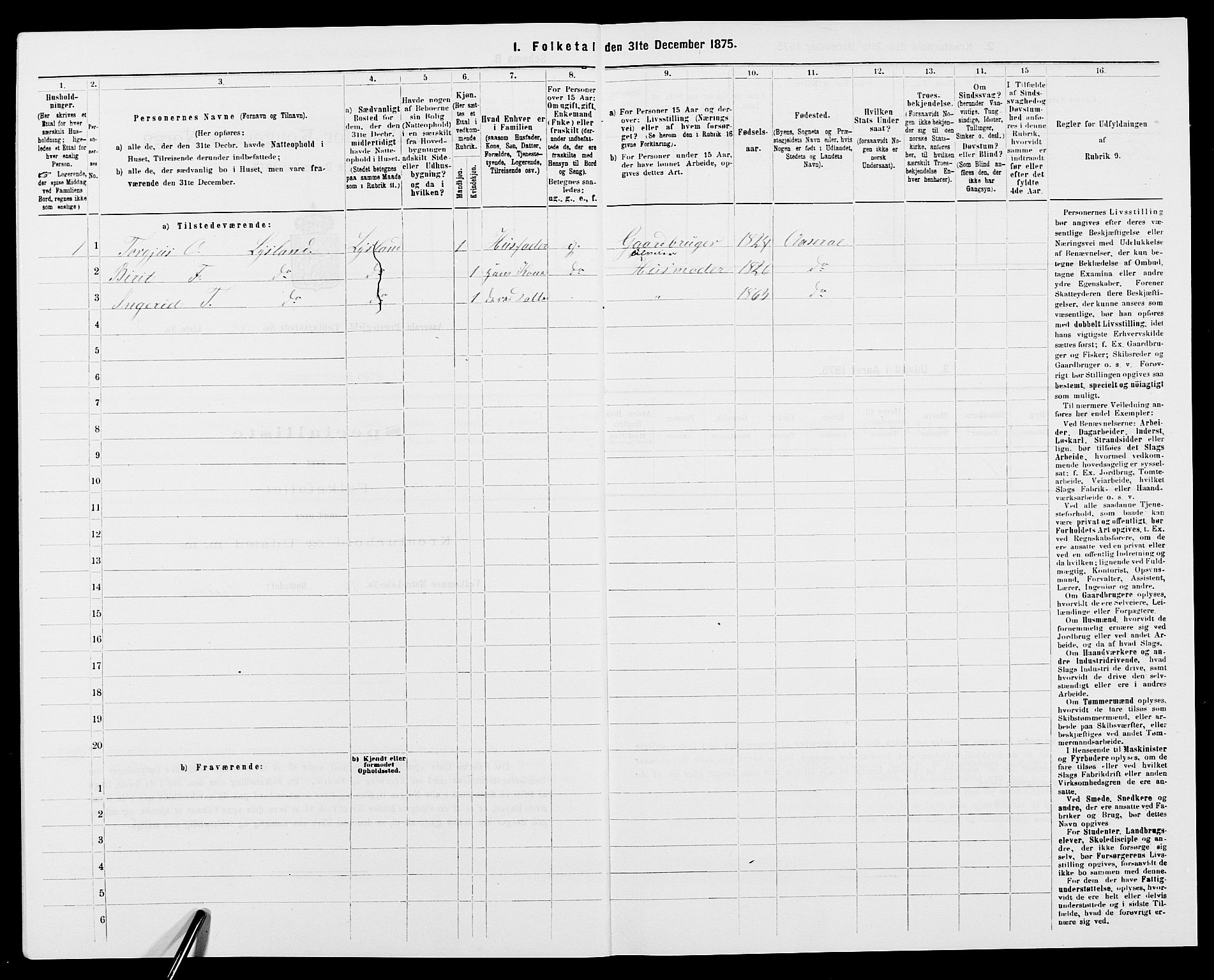 SAK, Folketelling 1875 for 0980P Åseral prestegjeld, 1875, s. 294