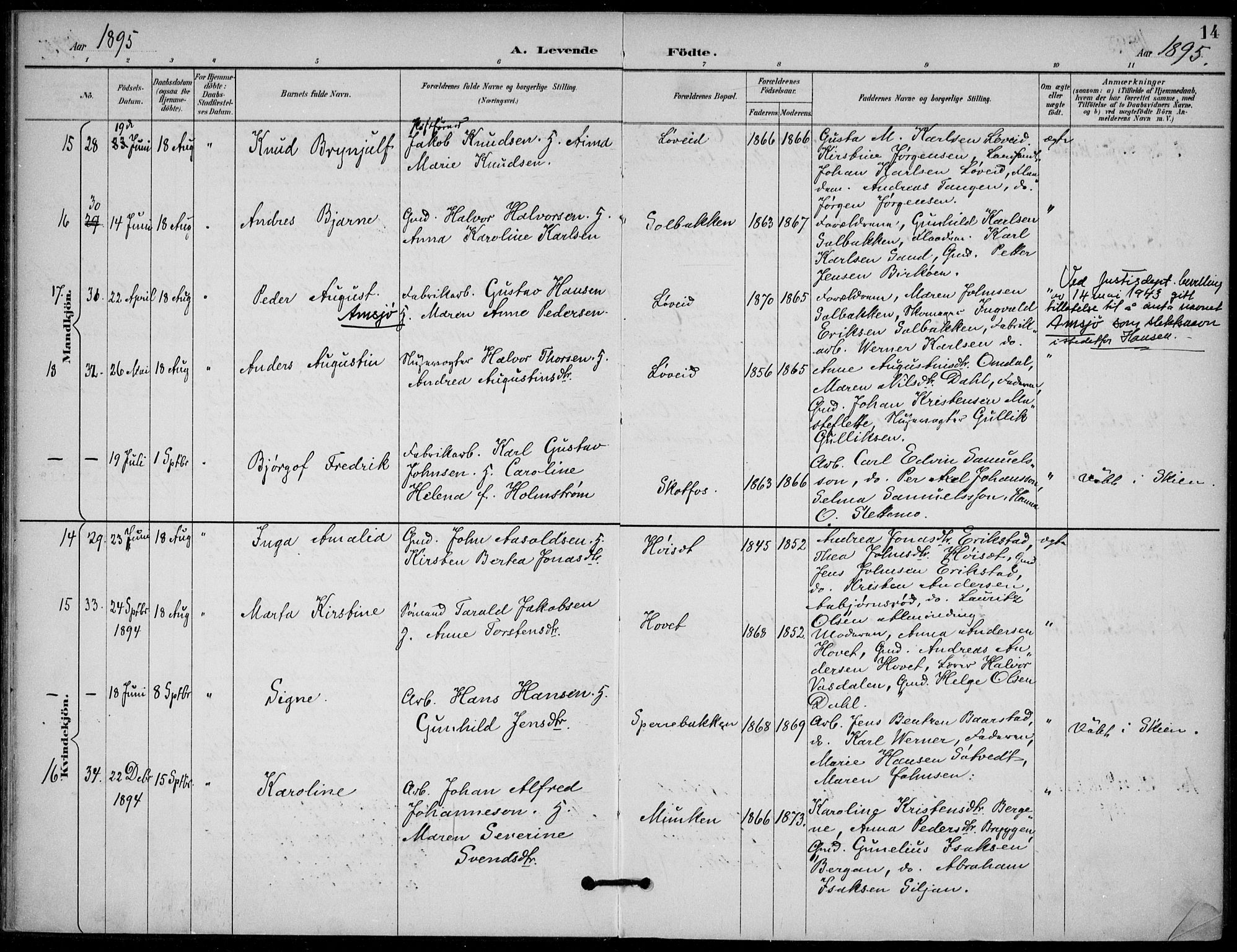 Solum kirkebøker, AV/SAKO-A-306/F/Fb/L0002: Ministerialbok nr. II 2, 1893-1901, s. 14