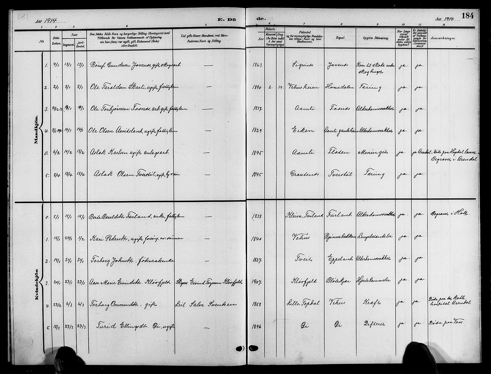 Åmli sokneprestkontor, AV/SAK-1111-0050/F/Fb/Fbc/L0005: Klokkerbok nr. B 5, 1903-1916, s. 184