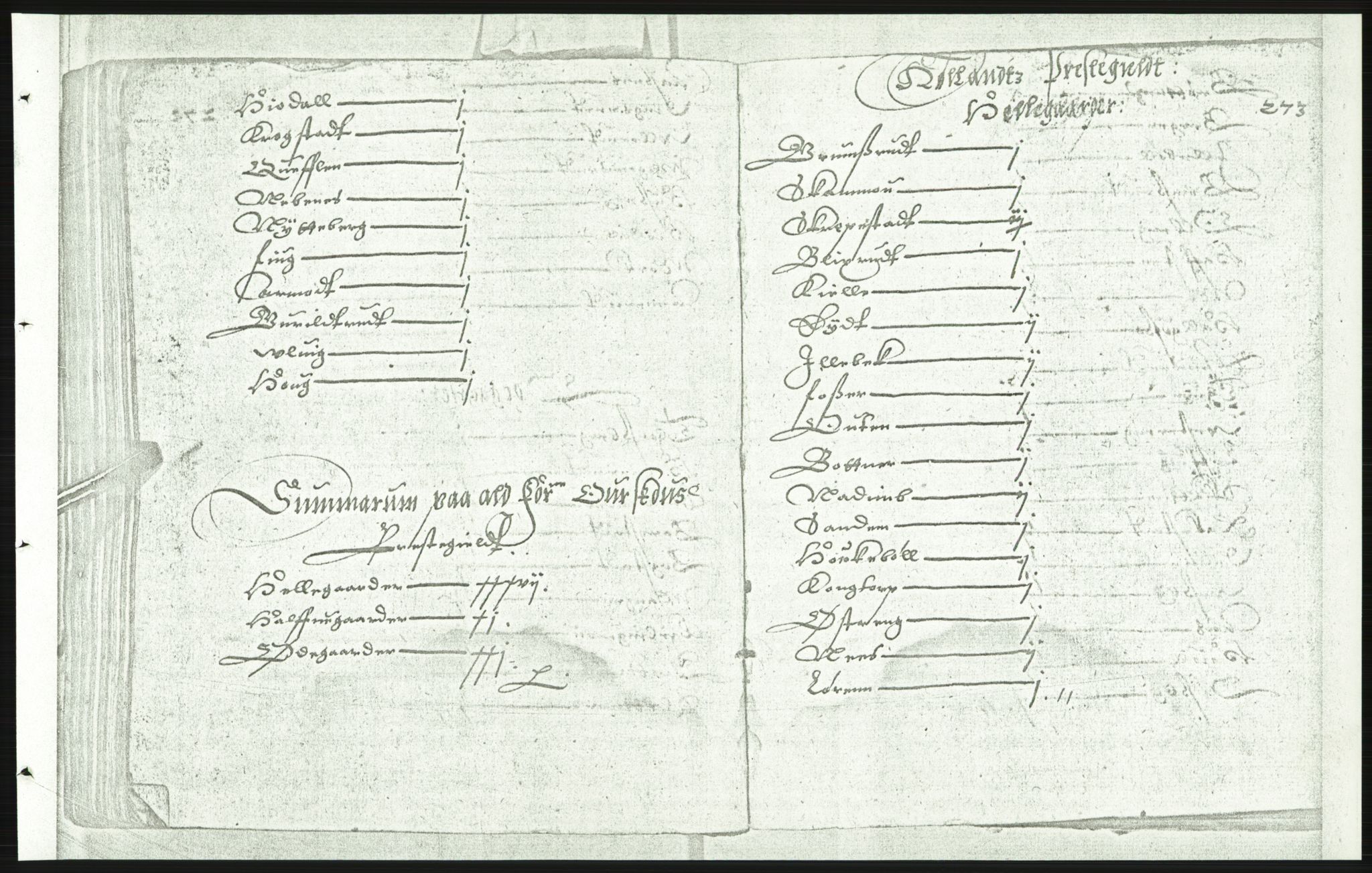 Manuskriptsamlingen, AV/RA-EA-3667/F/L0175d: Kopi av Universitetsbiblioteket, manuskript kvarto nr. 503, Manntall på fulle og halve og ødegårder uti Oslo og Hamar stift anno 1602, IV Nedre Romerike, Midtre og Øvre Borgesyssel, 1602, s. 272b-273a