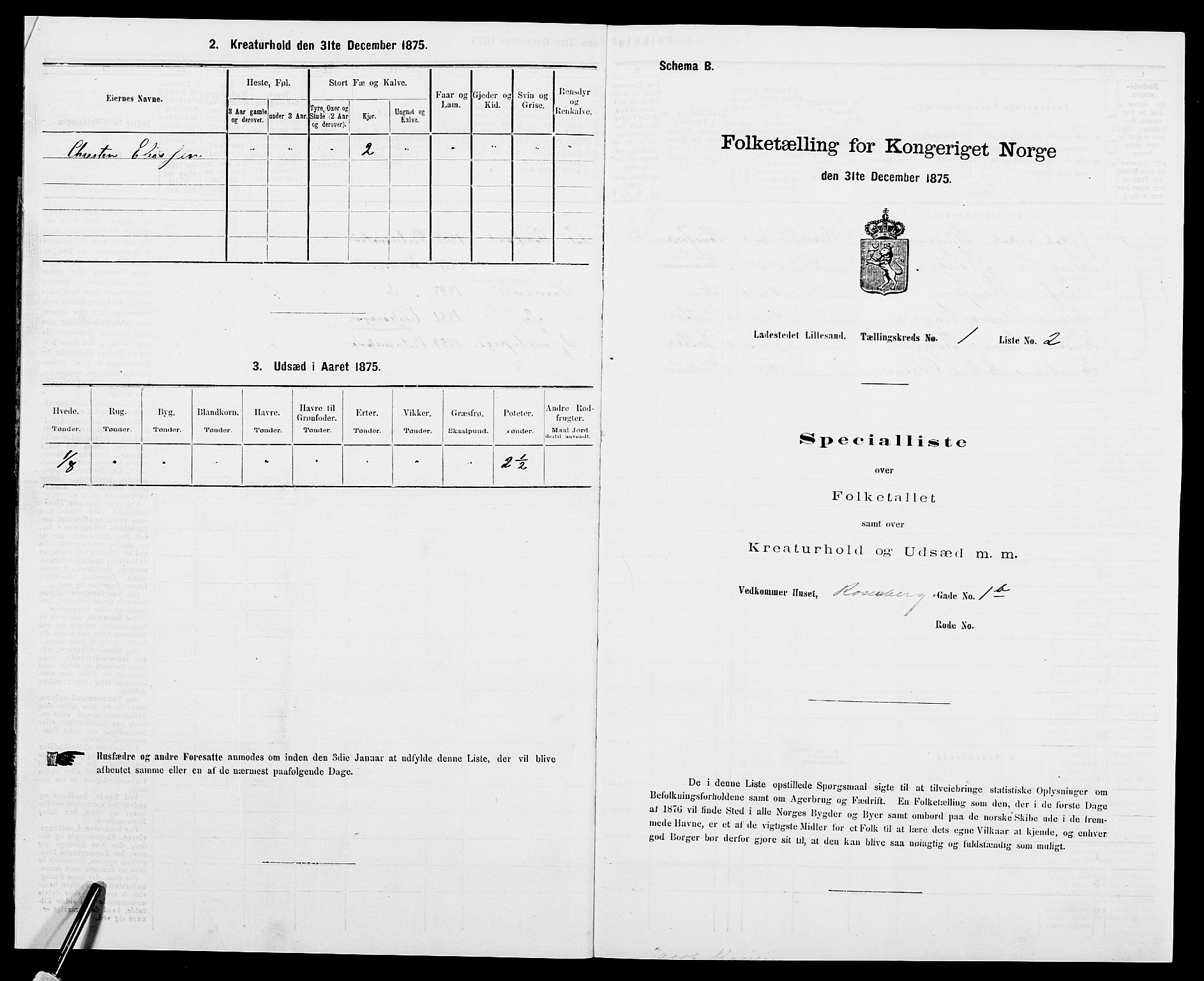 SAK, Folketelling 1875 for 0905B Vestre Moland prestegjeld, Lillesand ladested, 1875, s. 11