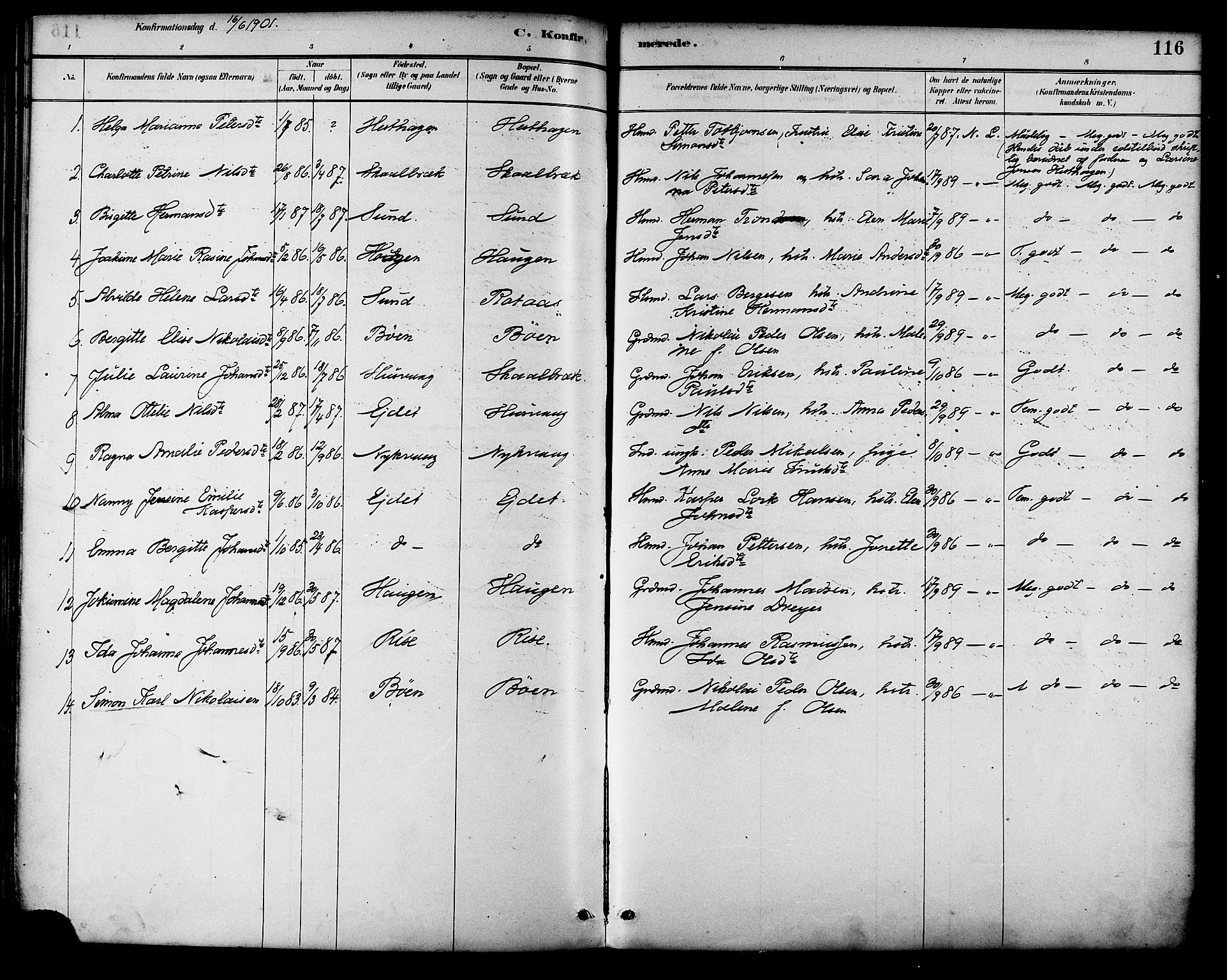 Ministerialprotokoller, klokkerbøker og fødselsregistre - Nordland, AV/SAT-A-1459/892/L1320: Ministerialbok nr. 892A01, 1886-1901, s. 116
