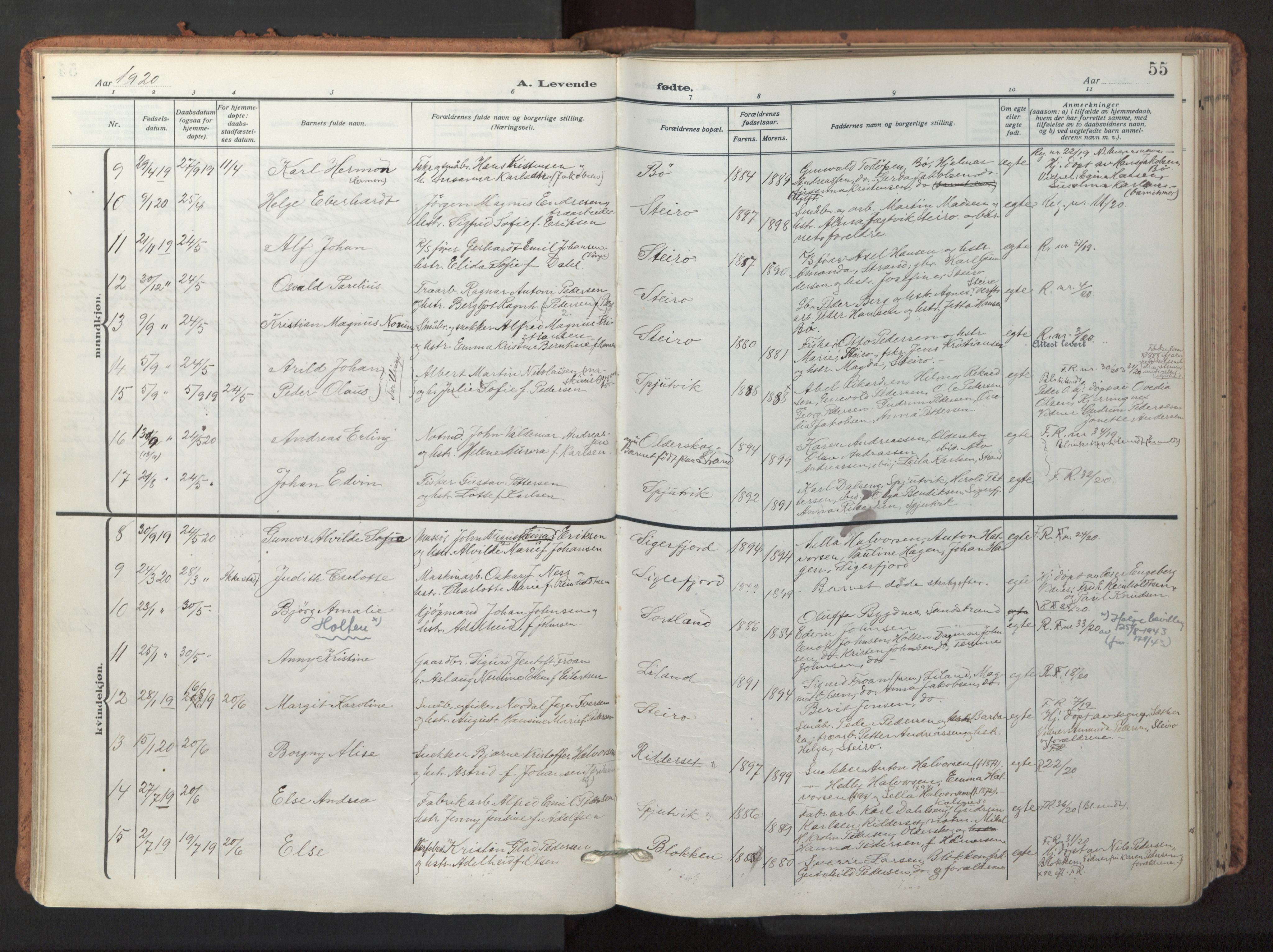 Ministerialprotokoller, klokkerbøker og fødselsregistre - Nordland, AV/SAT-A-1459/895/L1374: Ministerialbok nr. 895A09, 1915-1925, s. 55