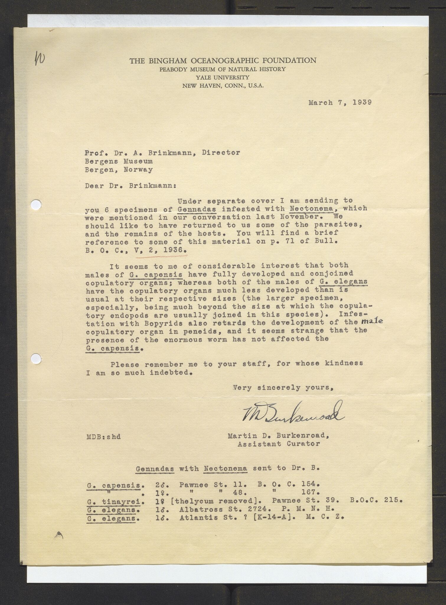 Bergens Museum, AV/SAB-A-17301/13/D/L0002: Korrespondanse , 1928-1940, s. 383