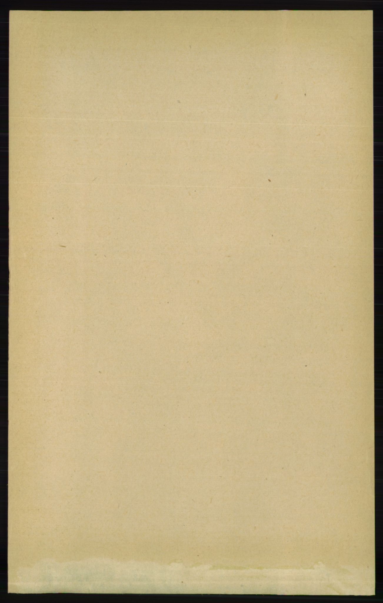 RA, Folketelling 1891 for 0938 Bygland herred, 1891, s. 1556