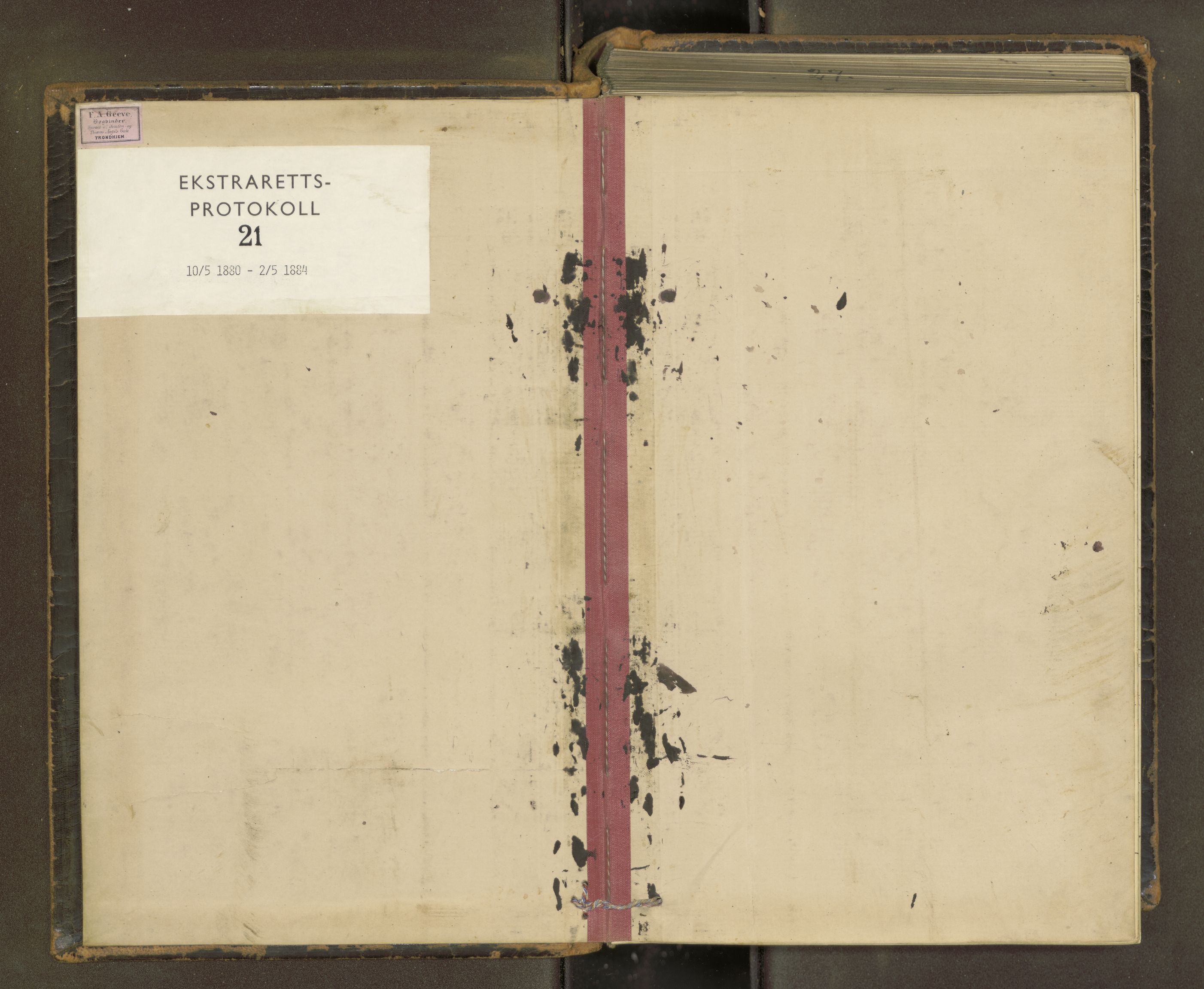Salten sorenskriveri, SAT/A-4578/1/1/1B/L0023: Ekstrarettsprot. nr. 21, 1880-1884