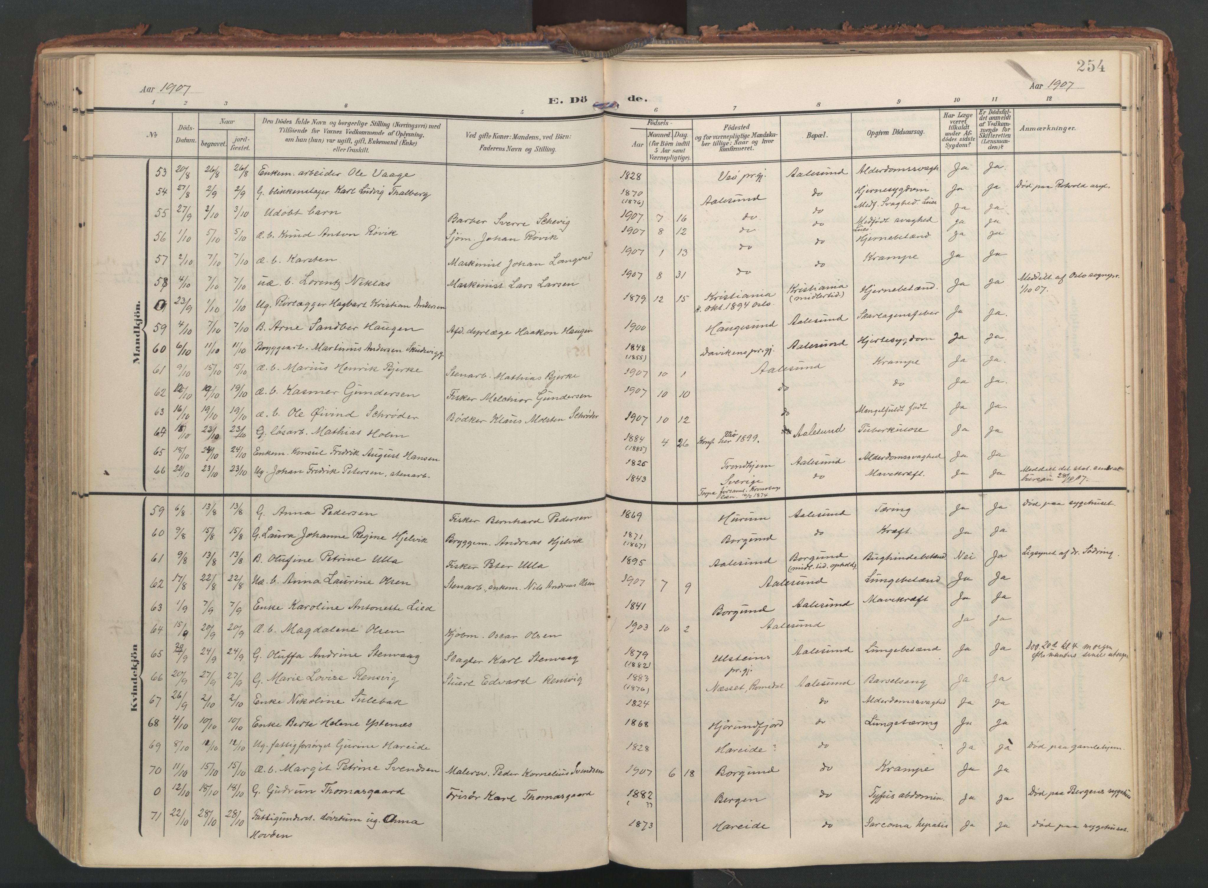 Ministerialprotokoller, klokkerbøker og fødselsregistre - Møre og Romsdal, AV/SAT-A-1454/529/L0459: Ministerialbok nr. 529A09, 1904-1917, s. 254