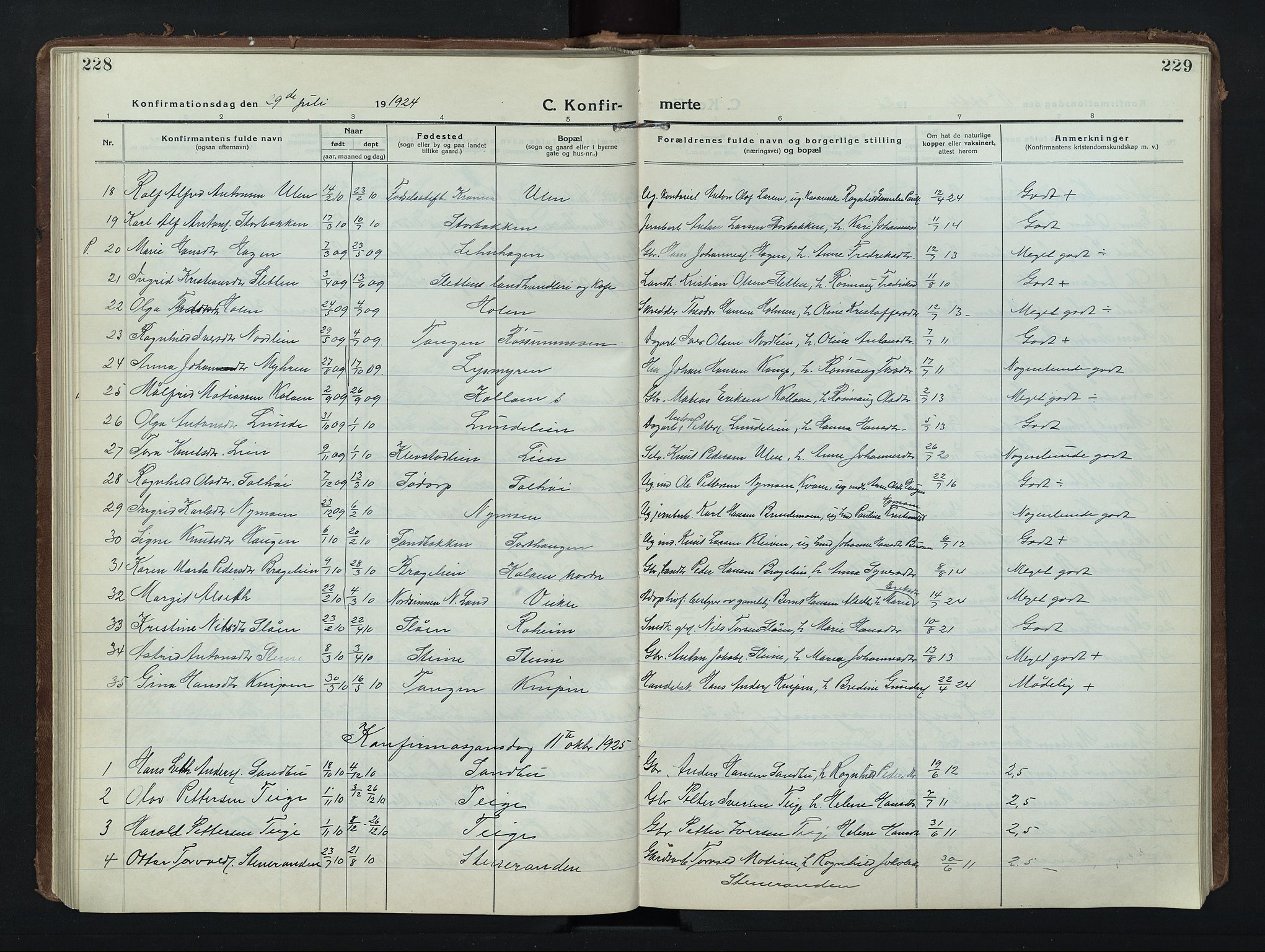 Nord-Fron prestekontor, AV/SAH-PREST-080/H/Ha/Hab/L0008: Klokkerbok nr. 8, 1915-1948, s. 228-229
